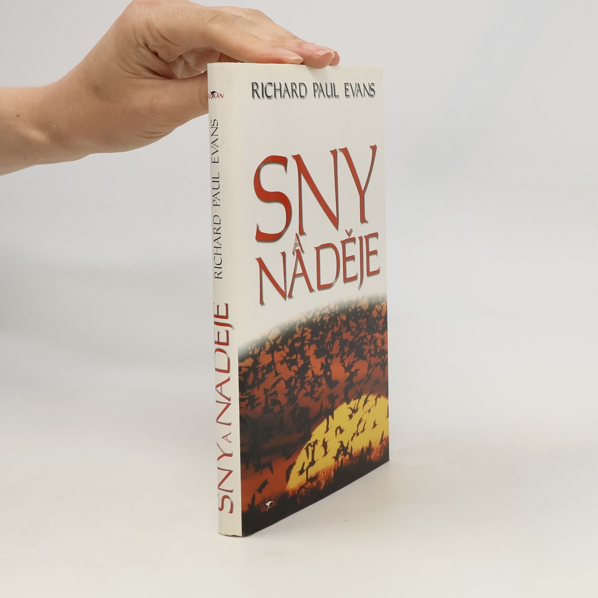 Richard Paul Evans Sny a naděje