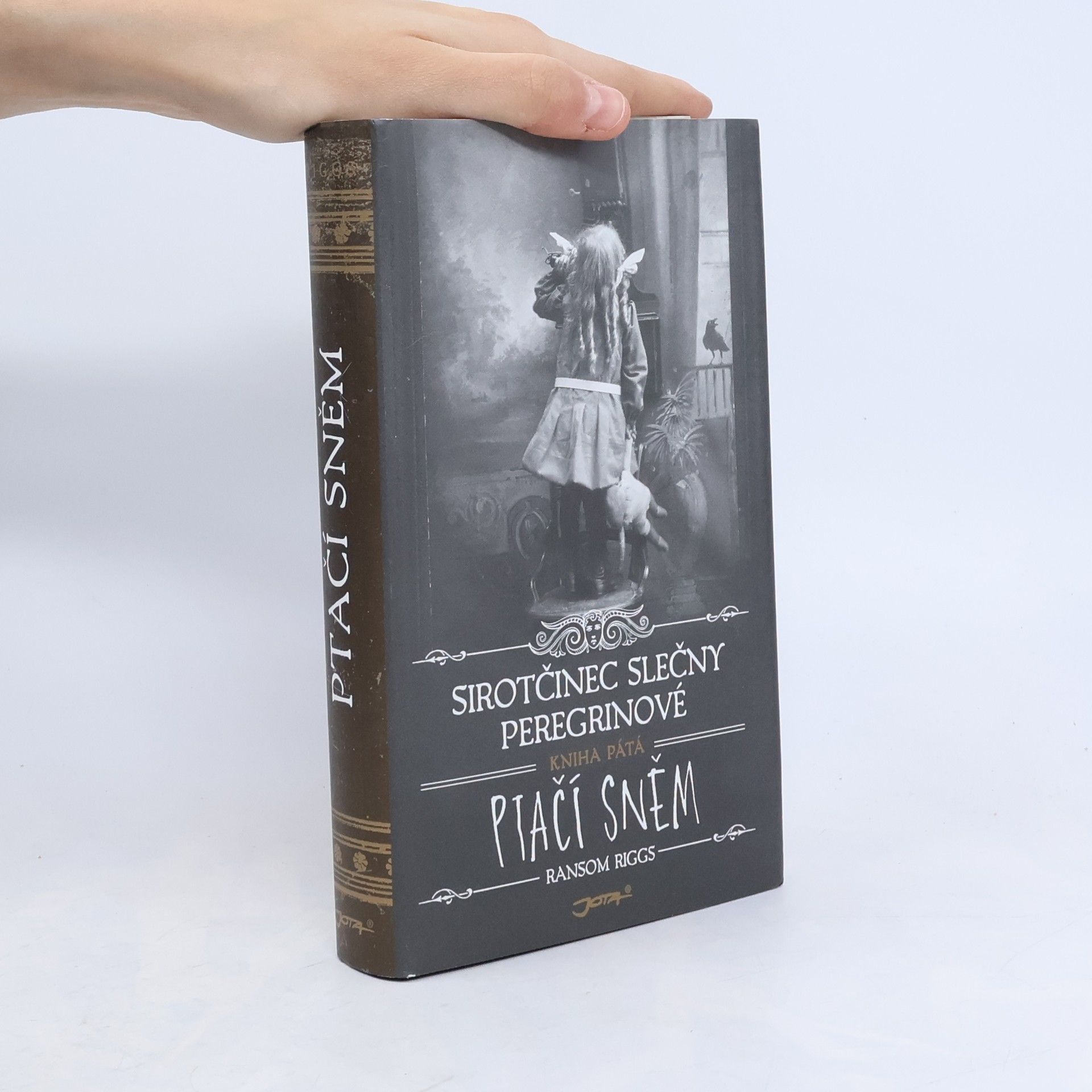 Ransom Riggs Ptačí sněm