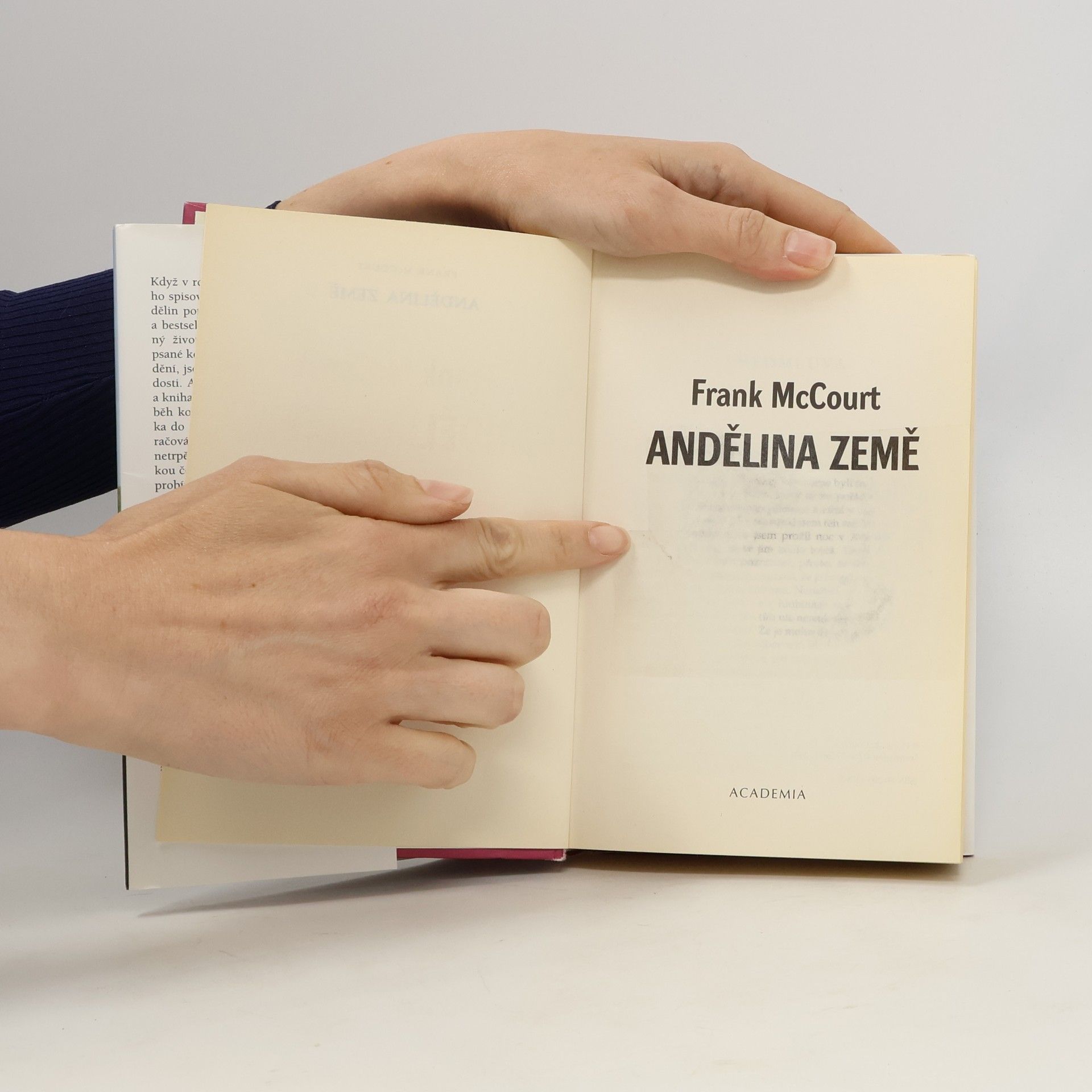 Frank McCourt Andělina země