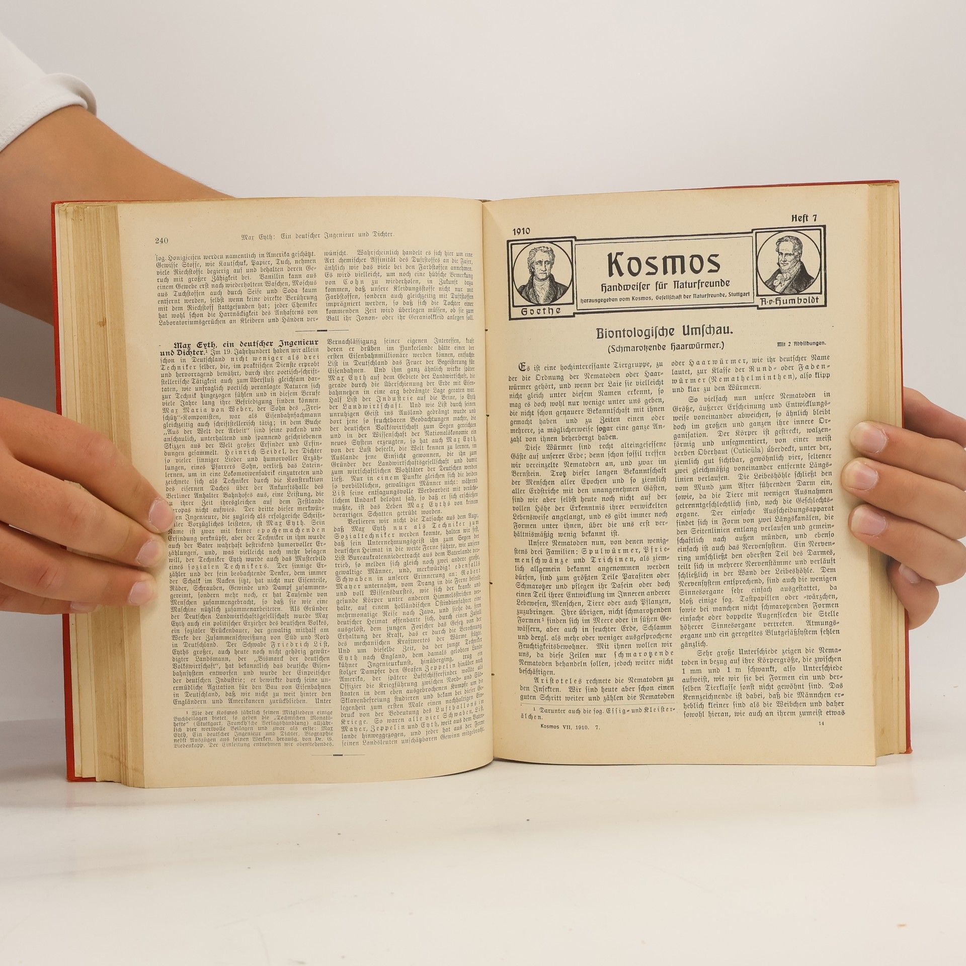 Autorenkollektiv Kosmos Handweiser für Naturfreunde