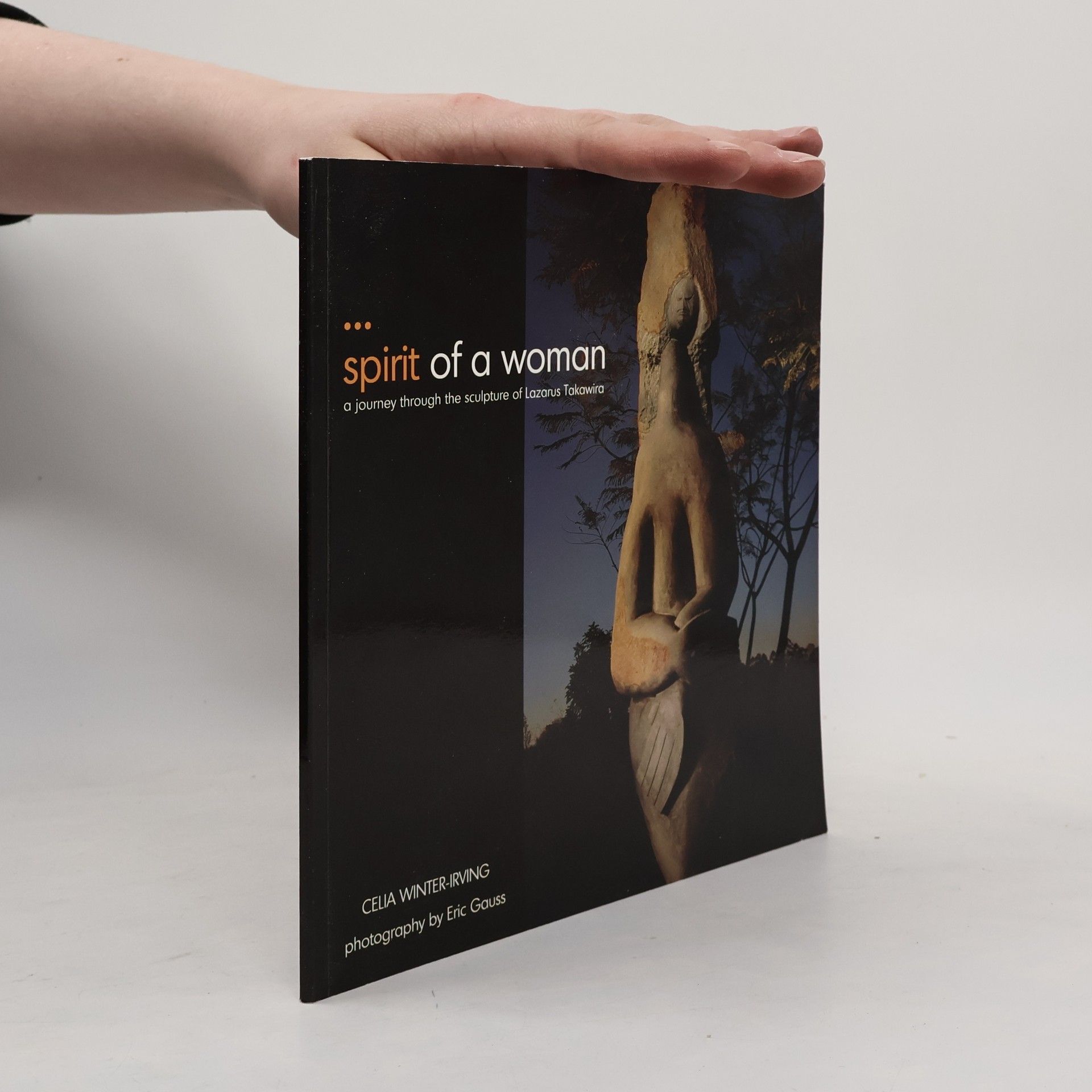 Eric Gauss Spirit of a Woman: A Journey Through the Sculpture of Lazarus Takawira