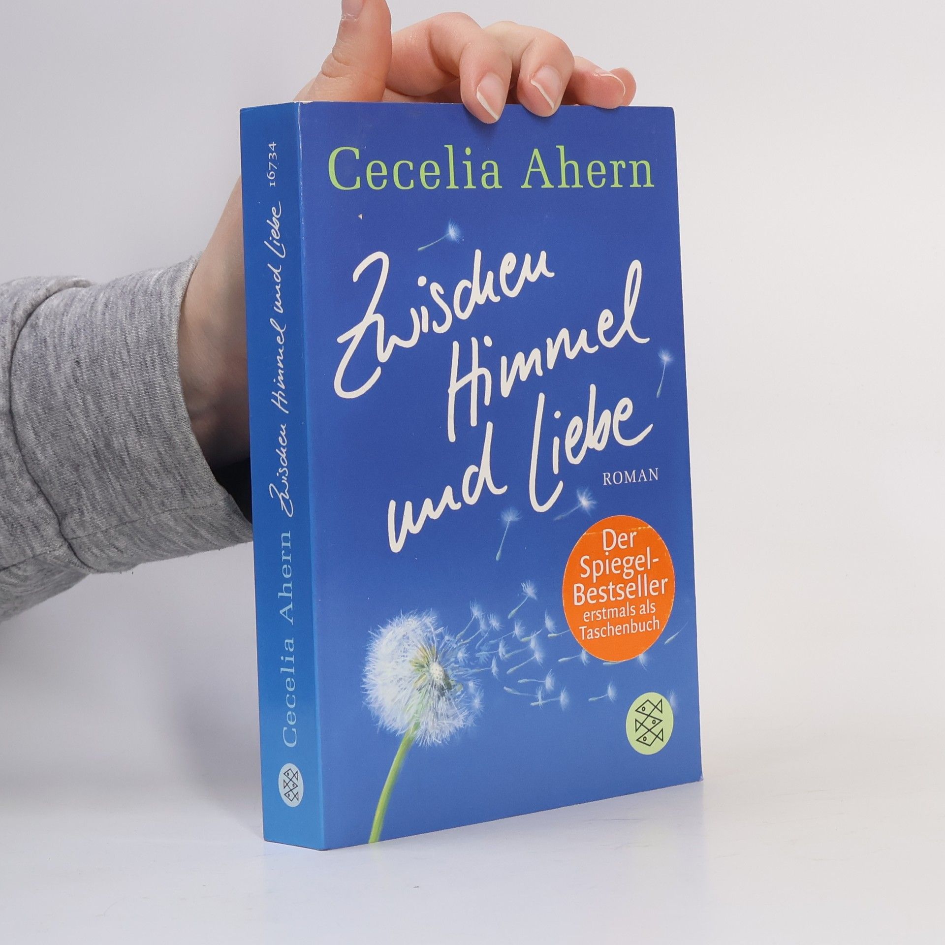 Cecelia Ahern Zwischen Himmel und Liebe