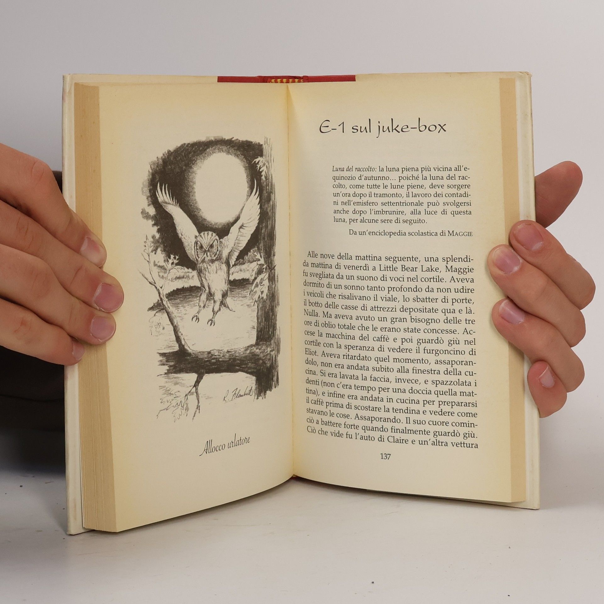 K. C. McKinnon Frassinelli narrativa straniera: Canto d'amore all'Harvest Moon