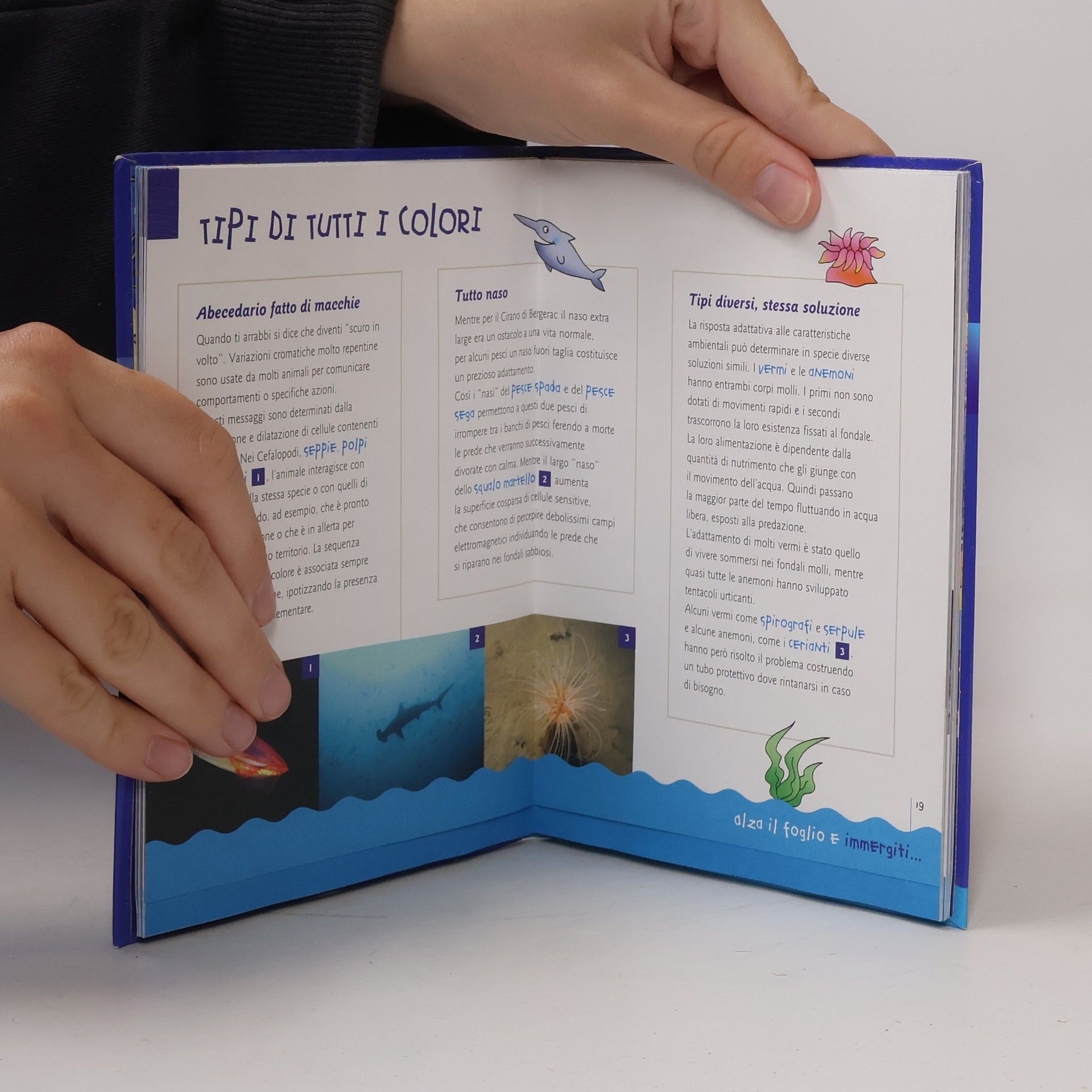 Francesco Zuppa Viaggi straordinari: Giochi in immersione