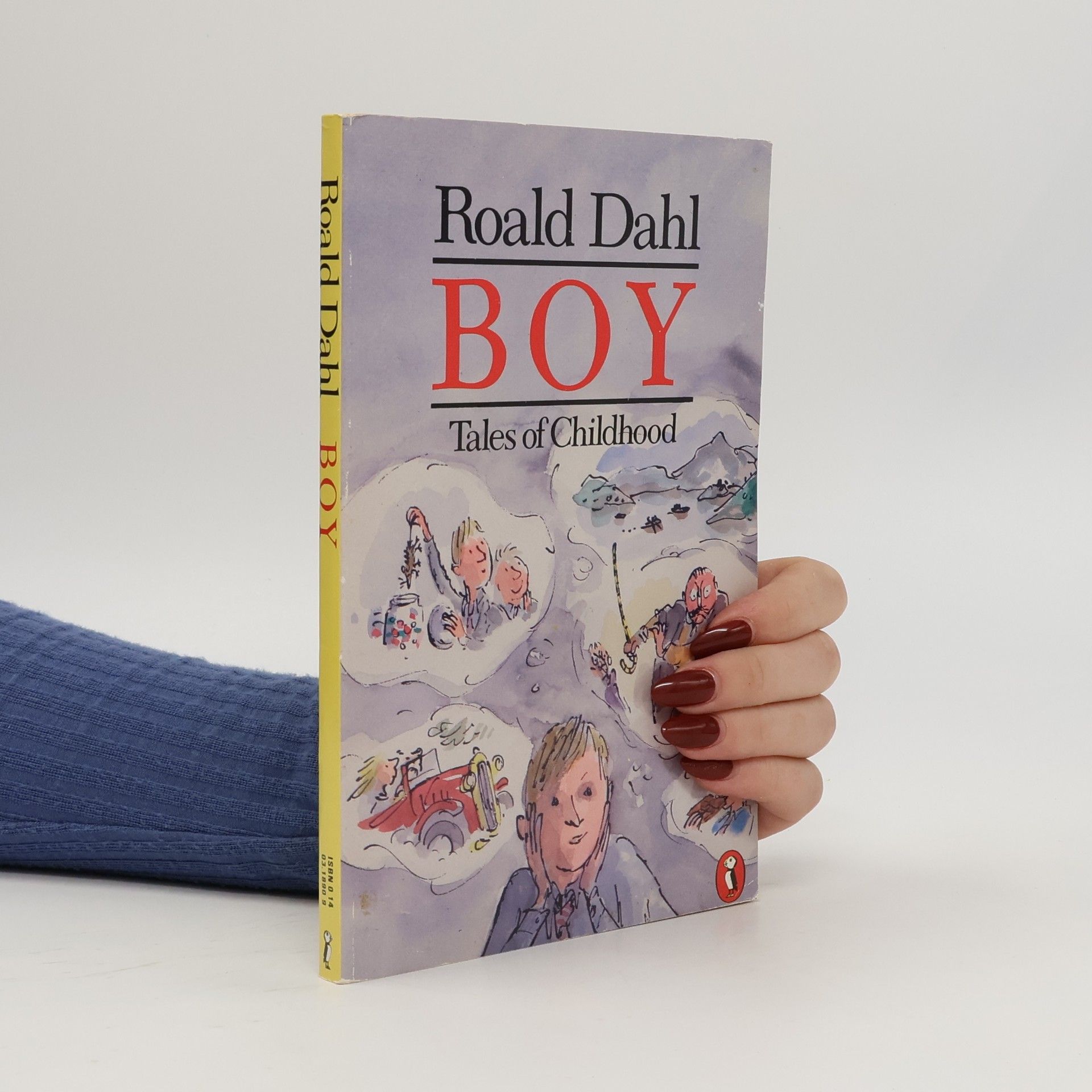 Roald Dahl Boy : tales of childhood