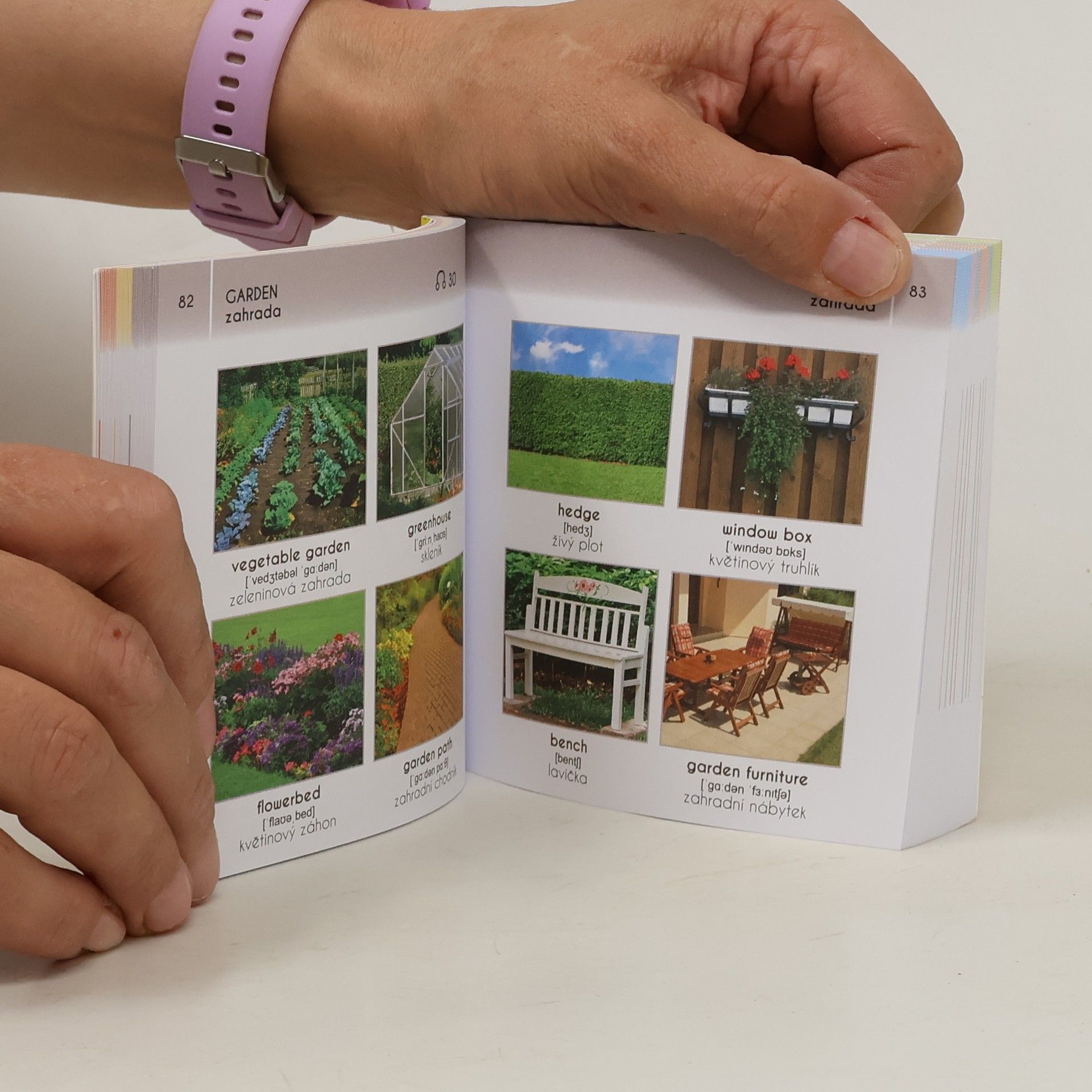 Autorenkollektiv Anglicko-český fotoslovník