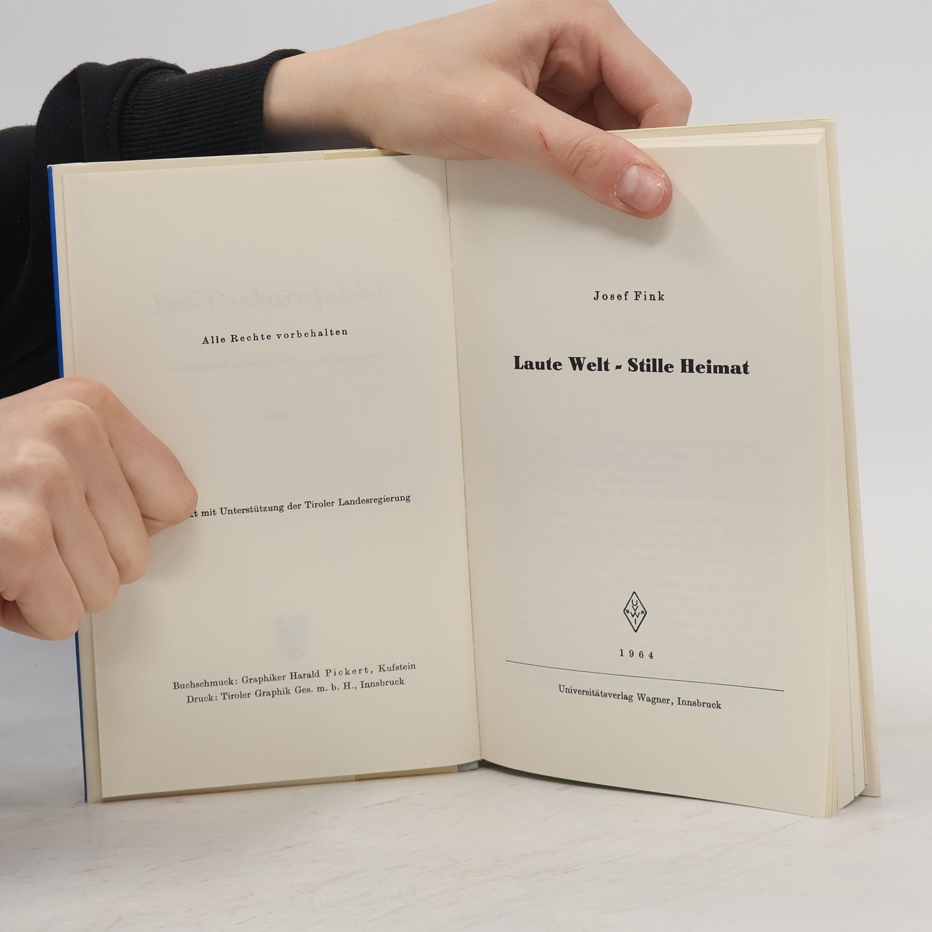 Josef Fink Laute Welt - Stille Heimat
