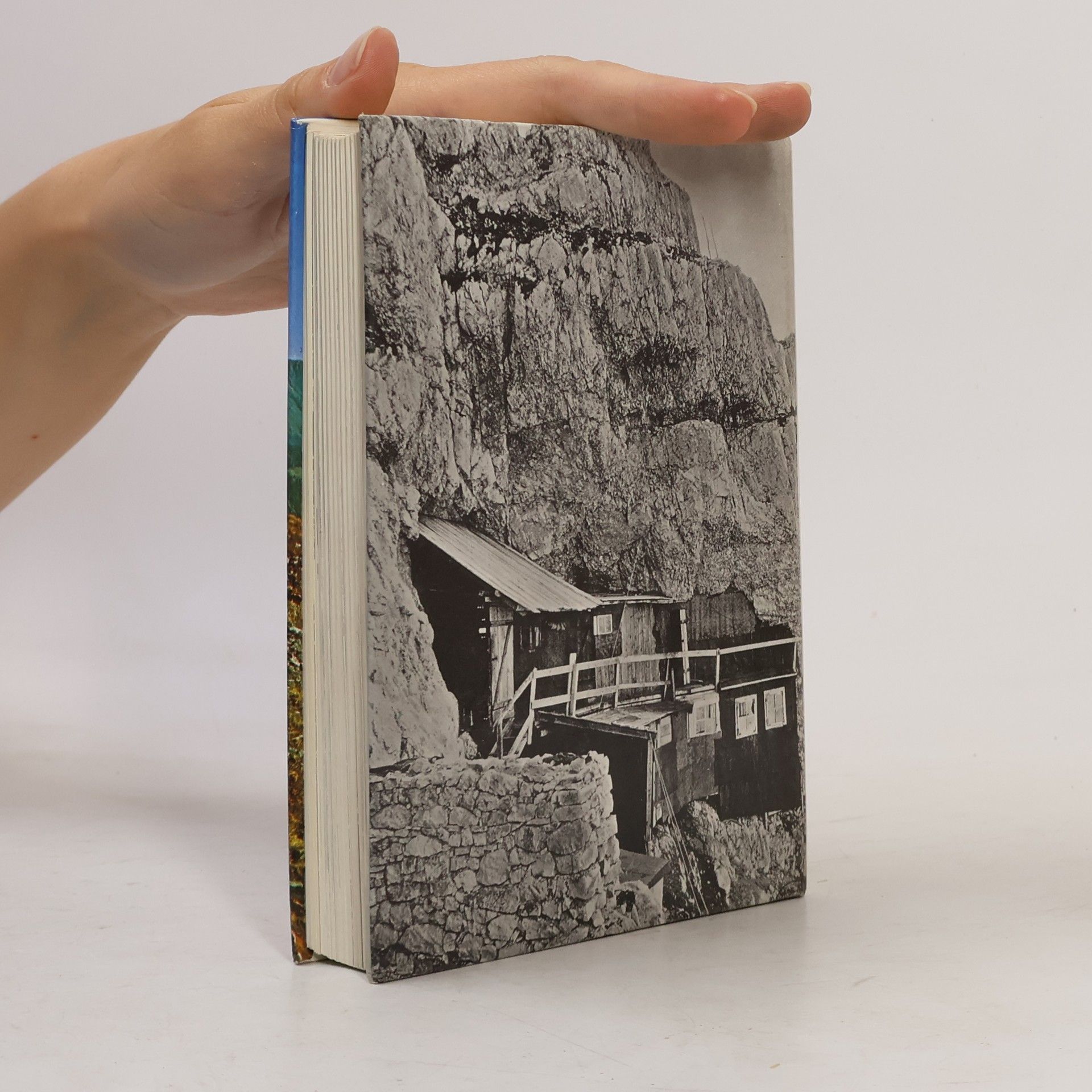 Autores varios Schauplätze des Gebirgskrieges III: Westliche Karnische Alpen