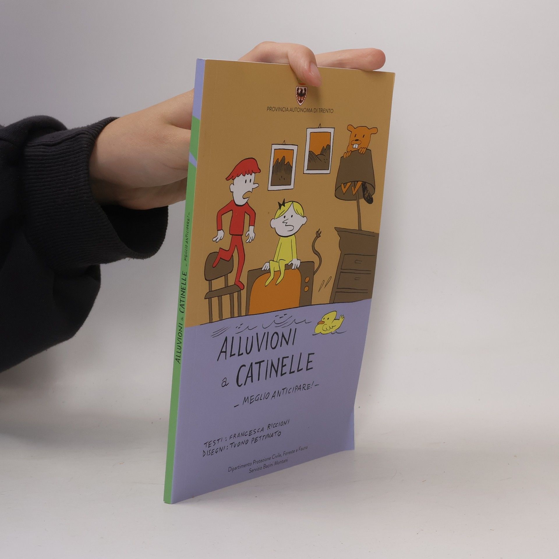 Francesca Piccioni Alluvioni a Catinelle
