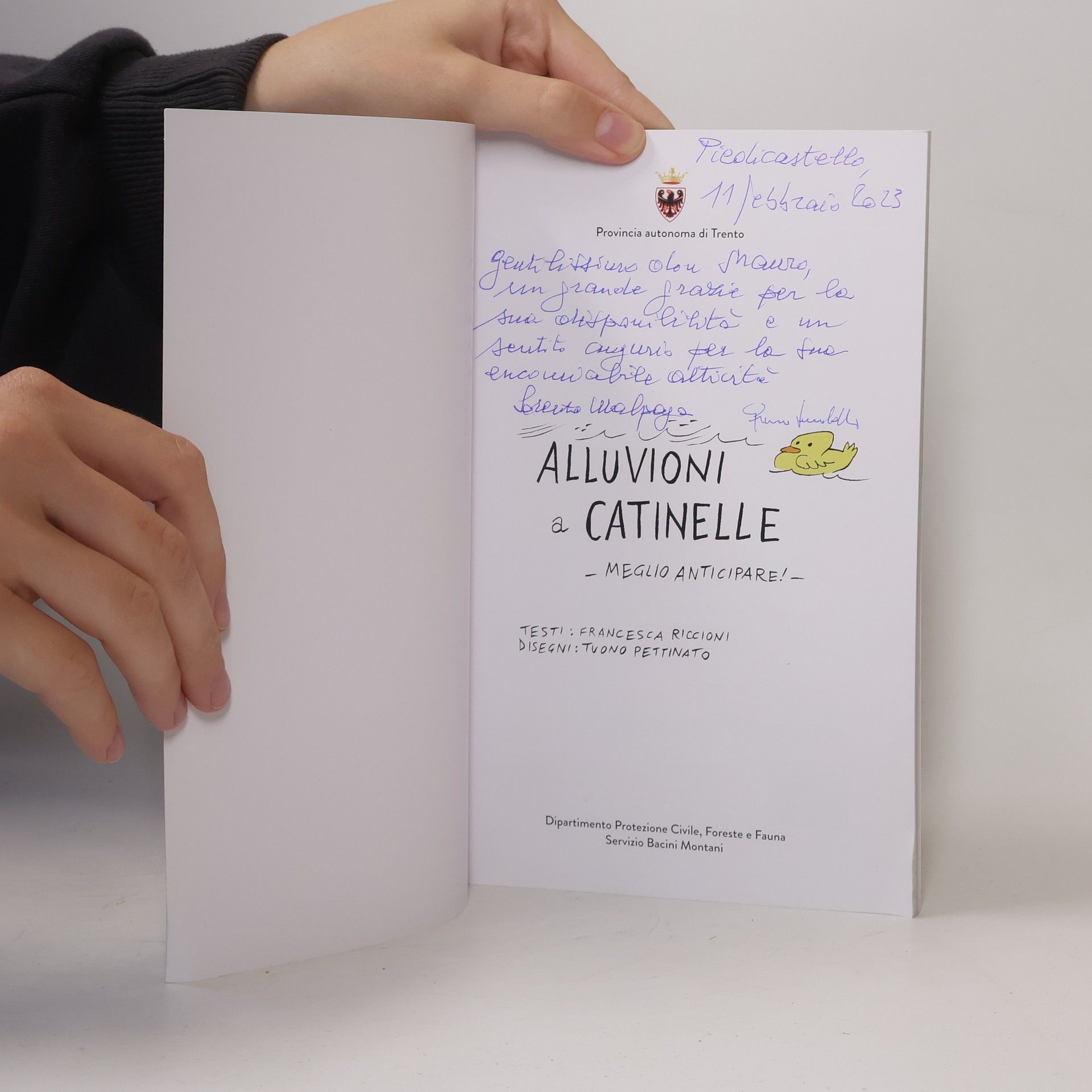 Francesca Piccioni Alluvioni a Catinelle