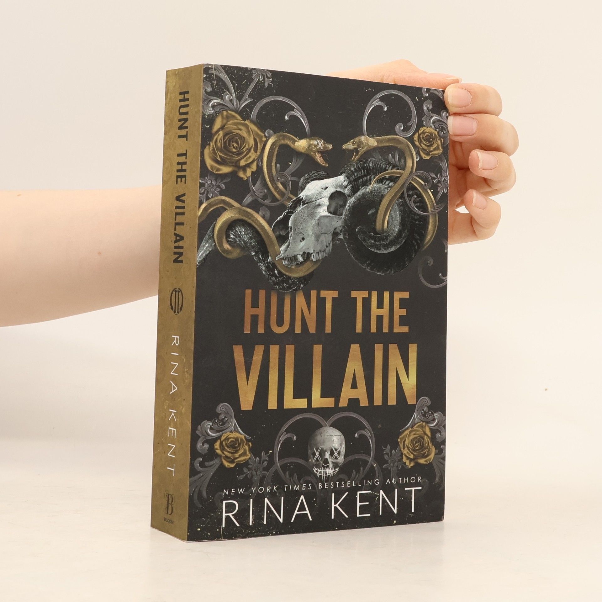 Rina Kent Hunt the Villain
