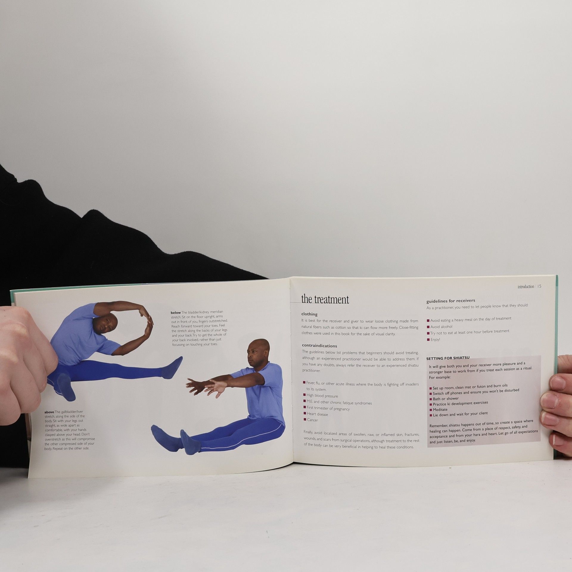Daisy Cole Flowmotion Book: Shiatsu