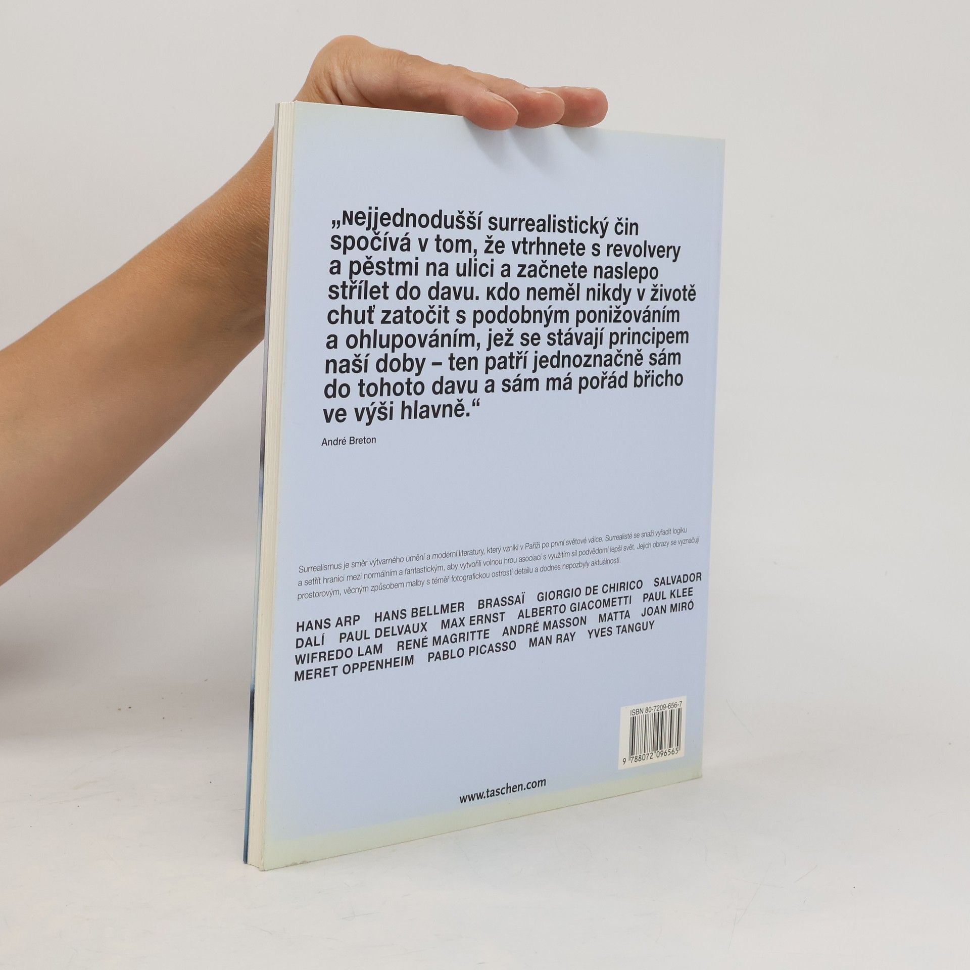 Cathrin Klingsöhr-Leroy Surrealismus
