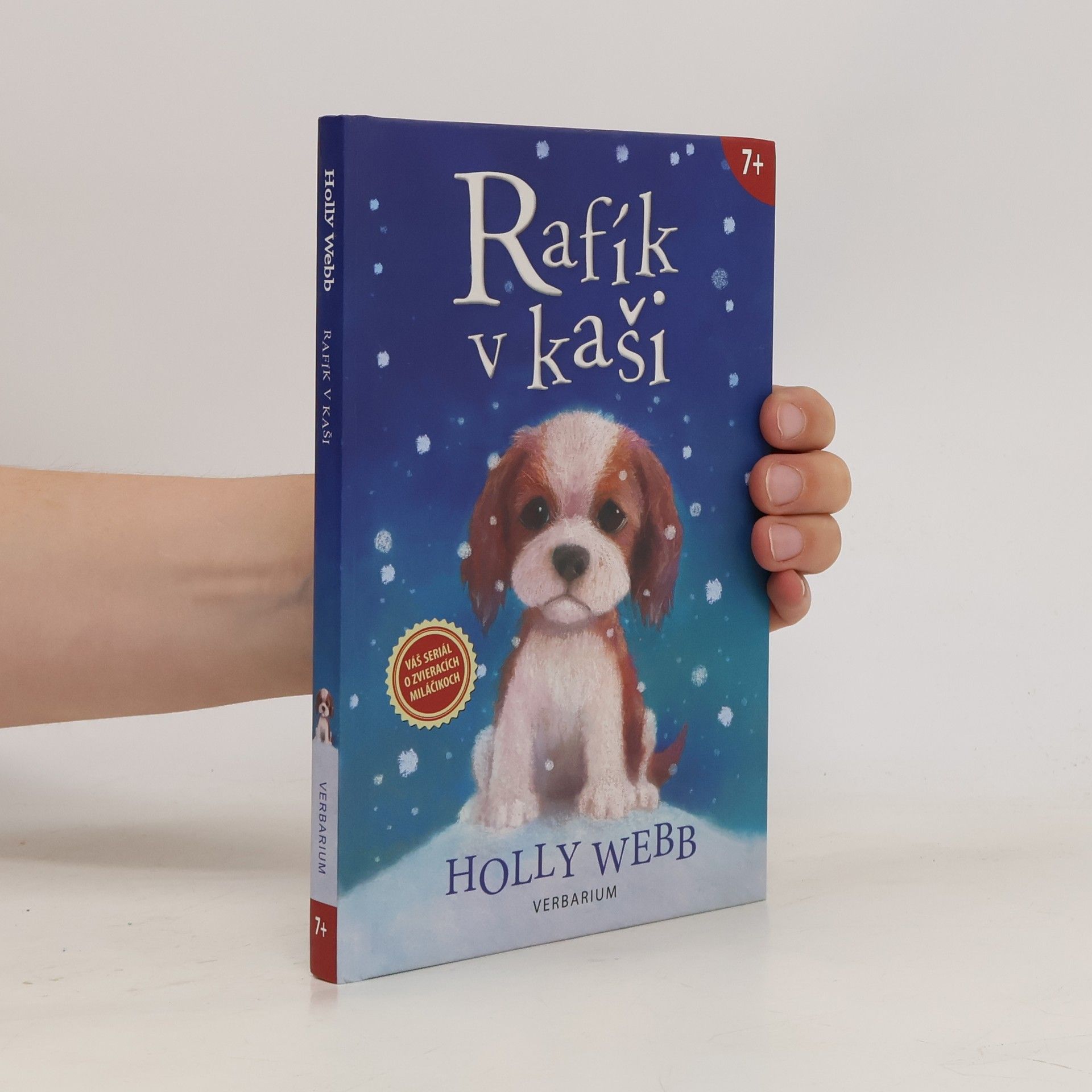 Holly Webb Rafík v kaši