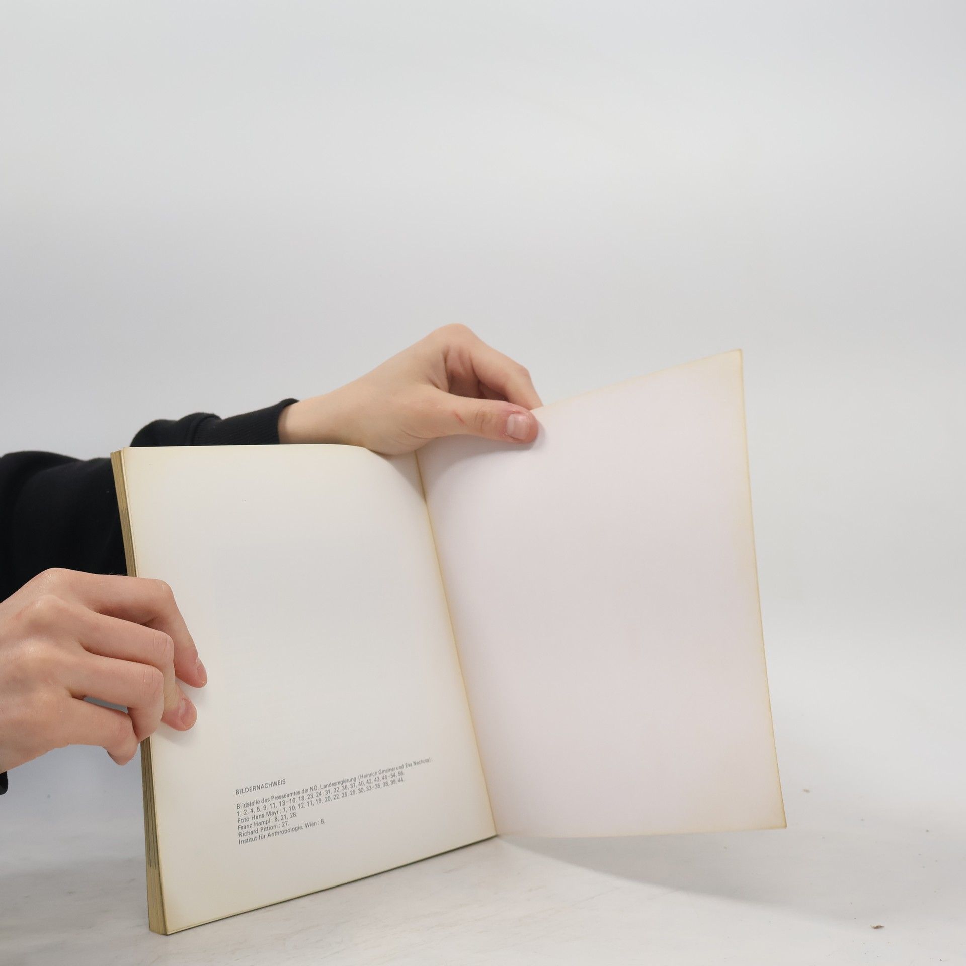 Autorenkollektiv Asparn/Zaya Museum für Urgeschichte. Des Landes Niederösterreich