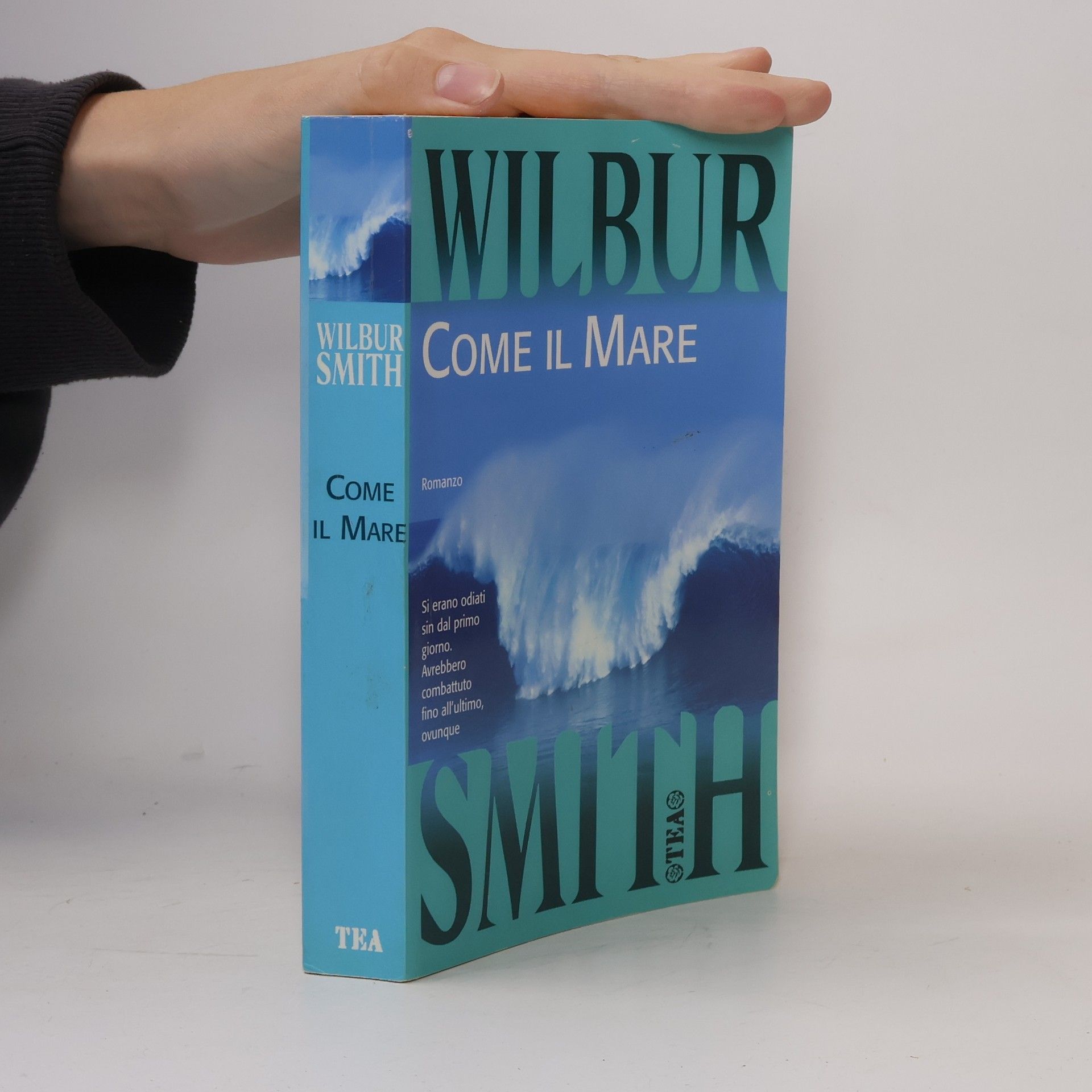 Wilbur A. Smith Come il Mare