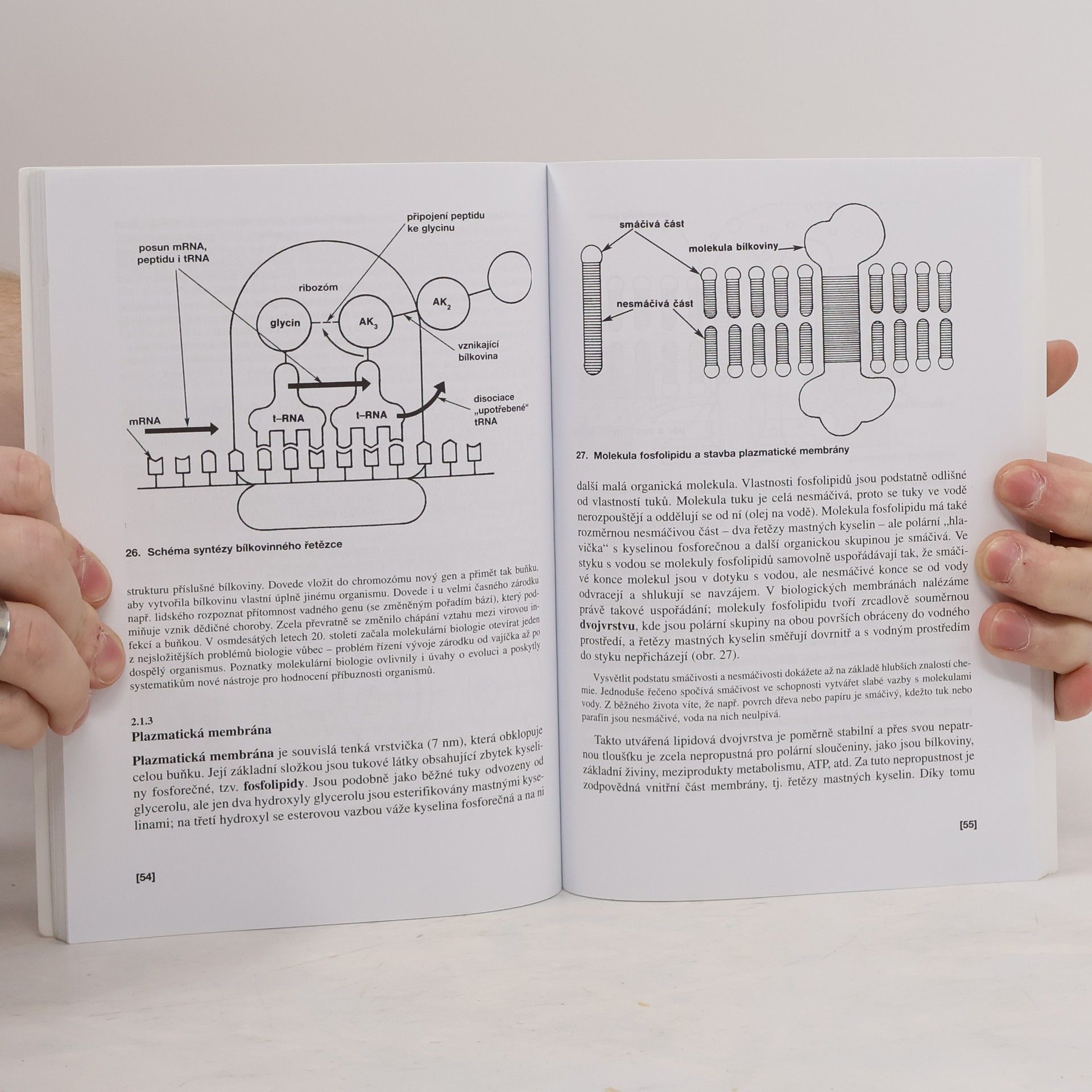 Václav Kubišta Obecná biologie. Úvodní učební text biologie pro 1. ročník gymnázií