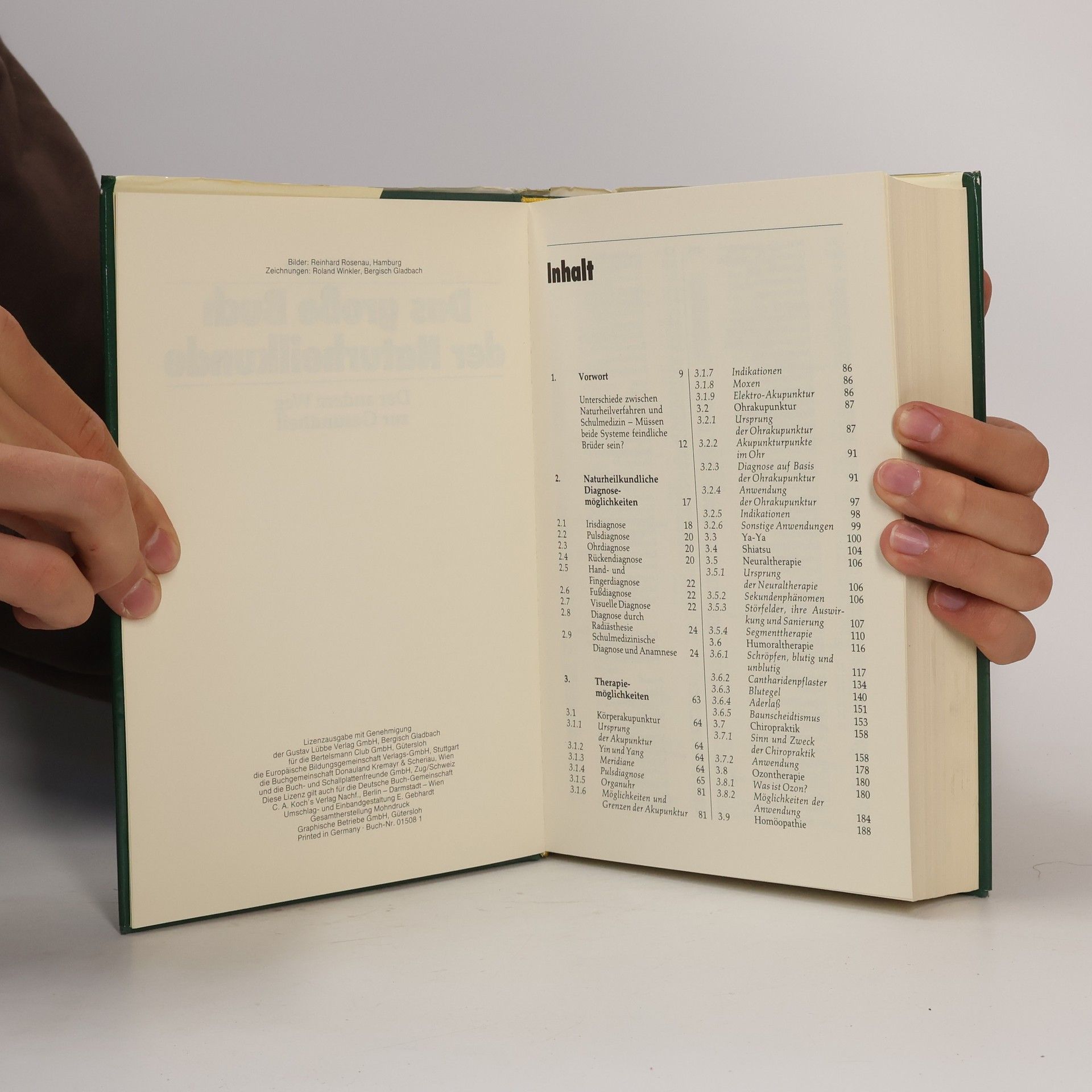 Rolf Stühmer Das große Buch der Naturheilkunde