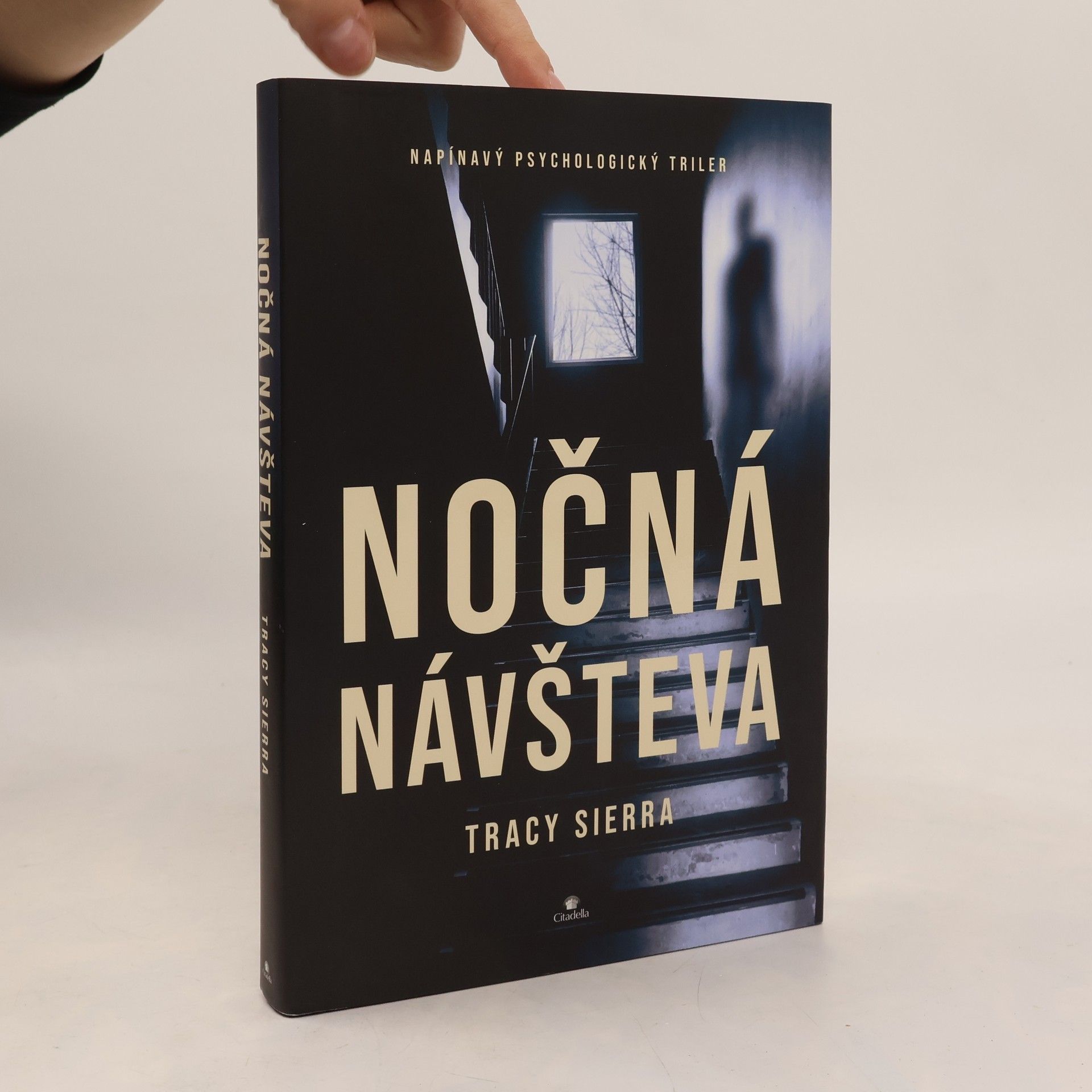 Tracy Sierra Nočná návšteva