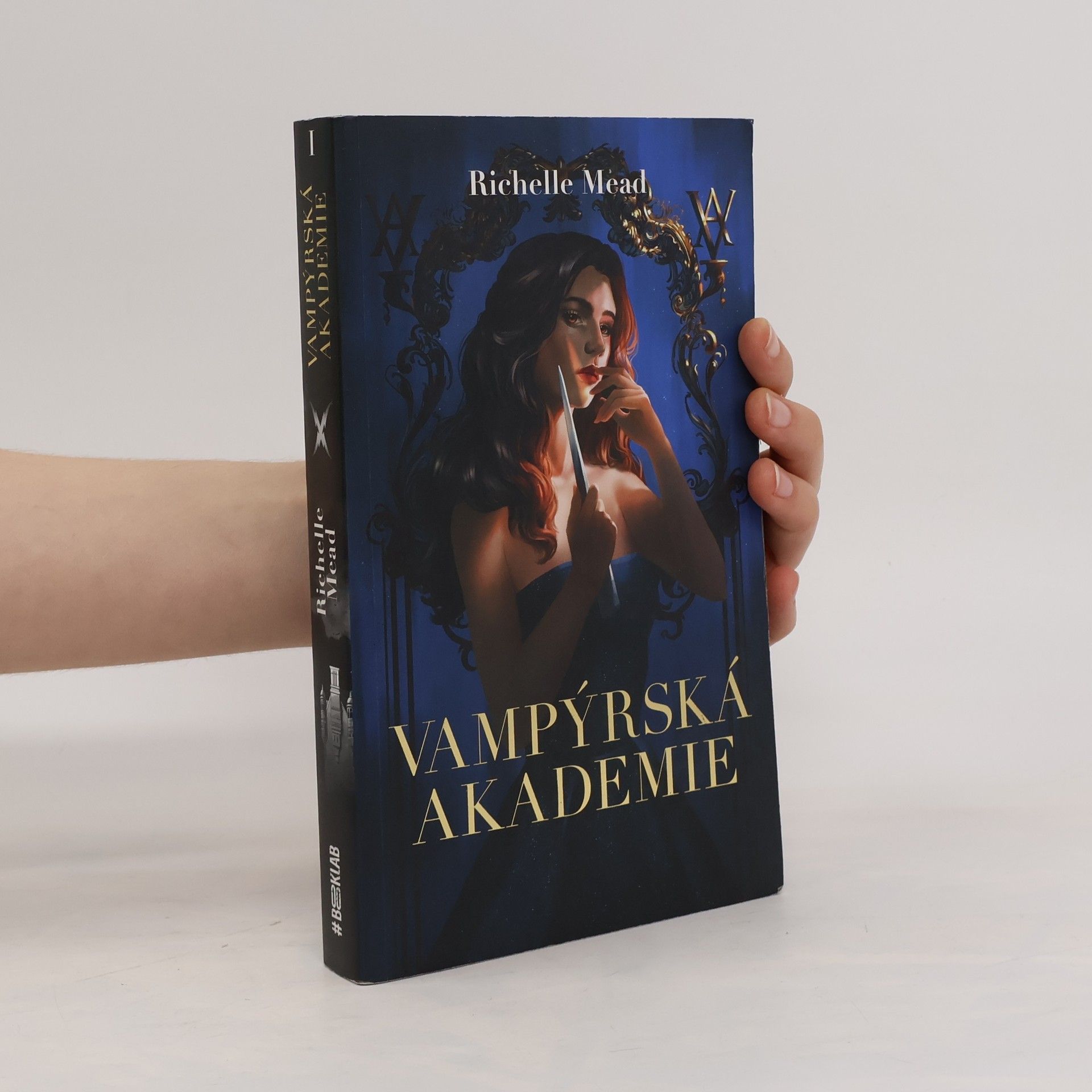 Richelle Mead Vampýrská akademie