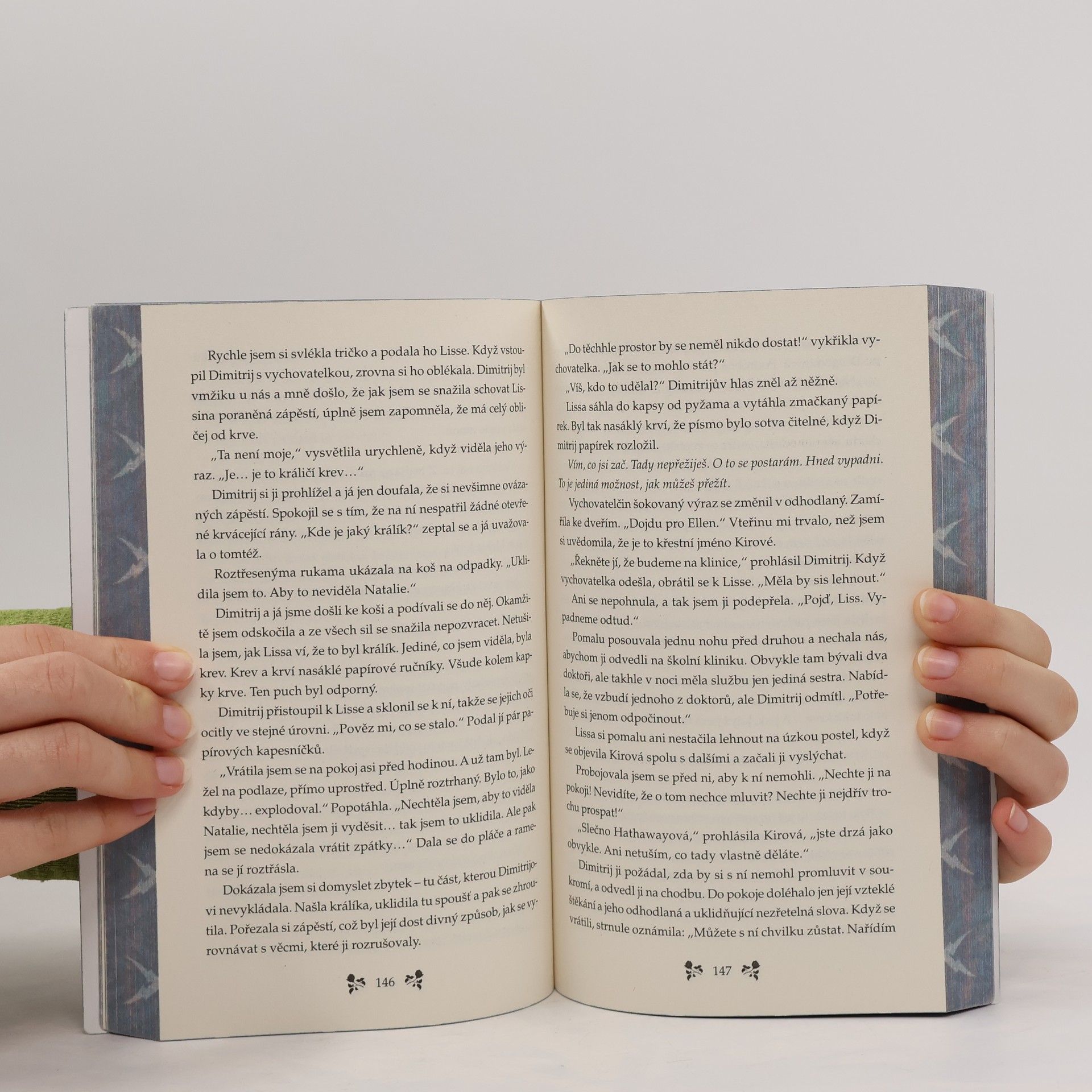 Richelle Mead Vampýrská akademie