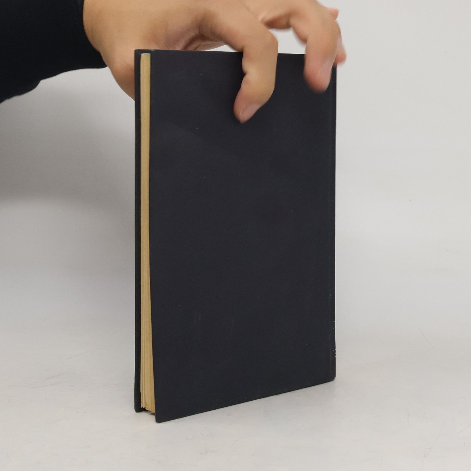 Kolektiv autorů Dokumente und Materialien aus der Vorgeschichte des zweiten Weltkrieges, Band II