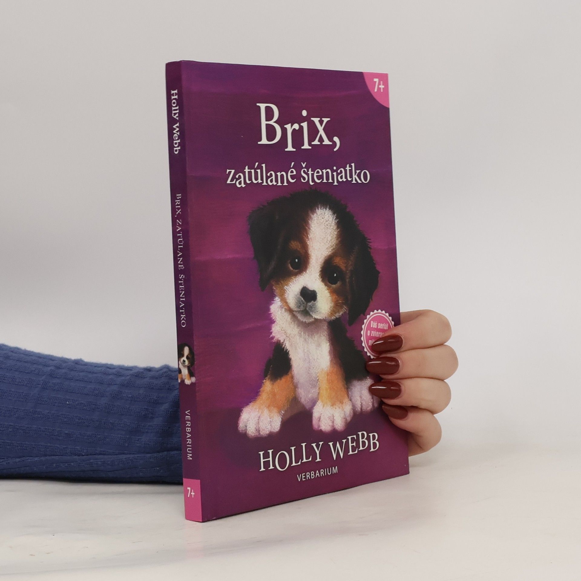 Holly Webb Brix, zatúlané šteniatko