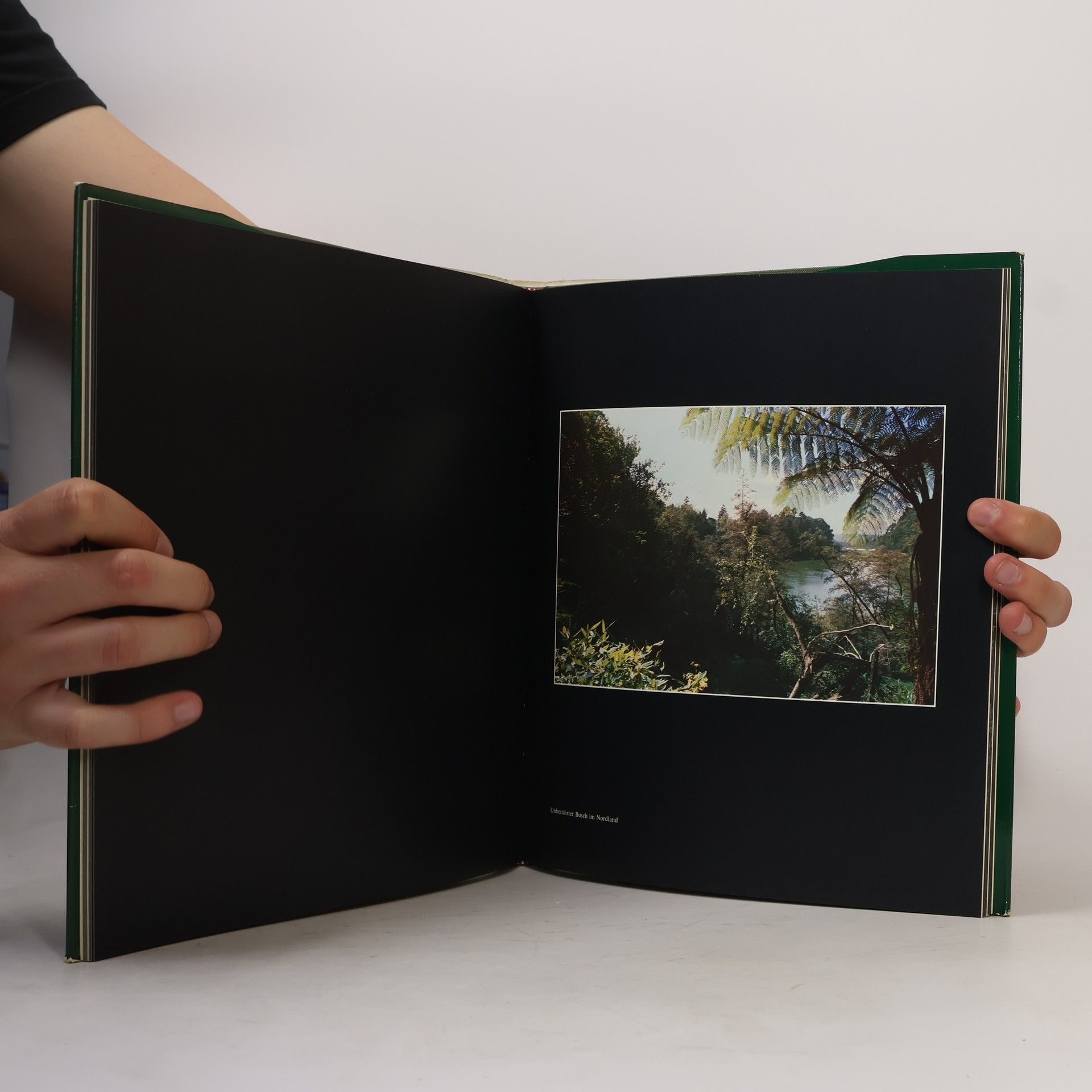 Walter Fürhapter Traumland Neuseeland