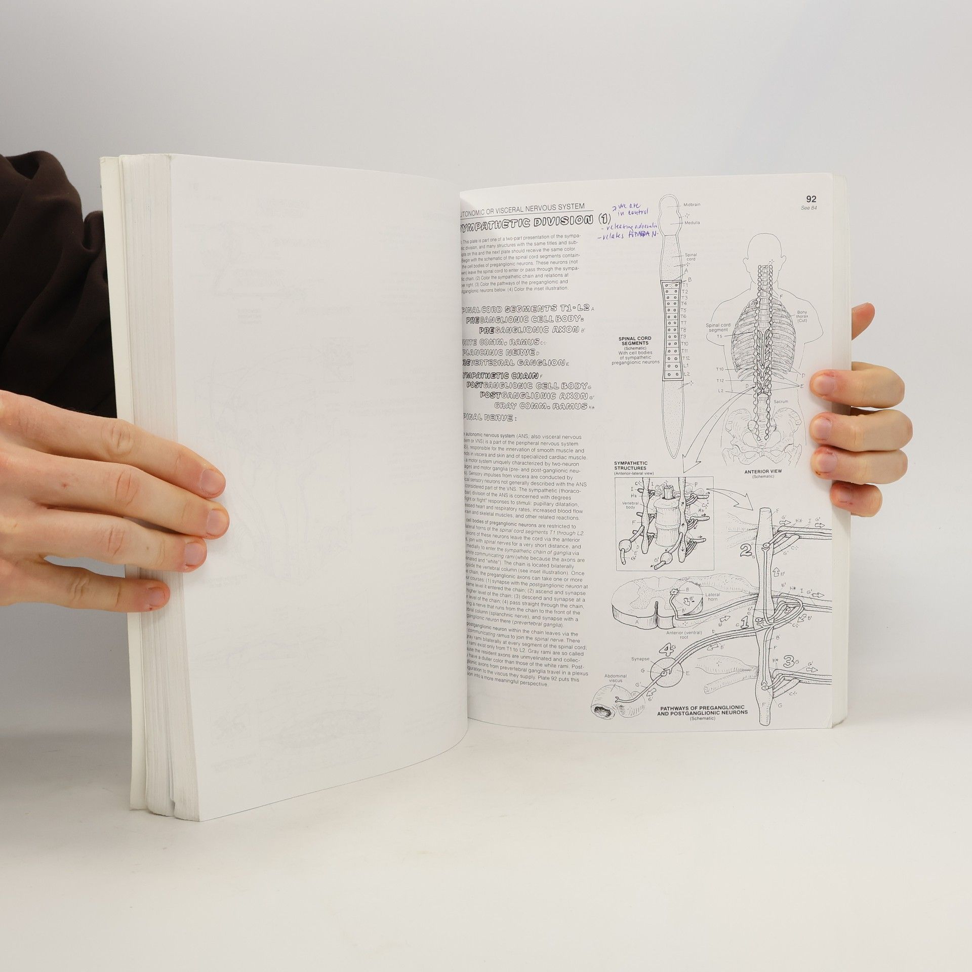 Wynn Kapit The Anatomy Coloring Book