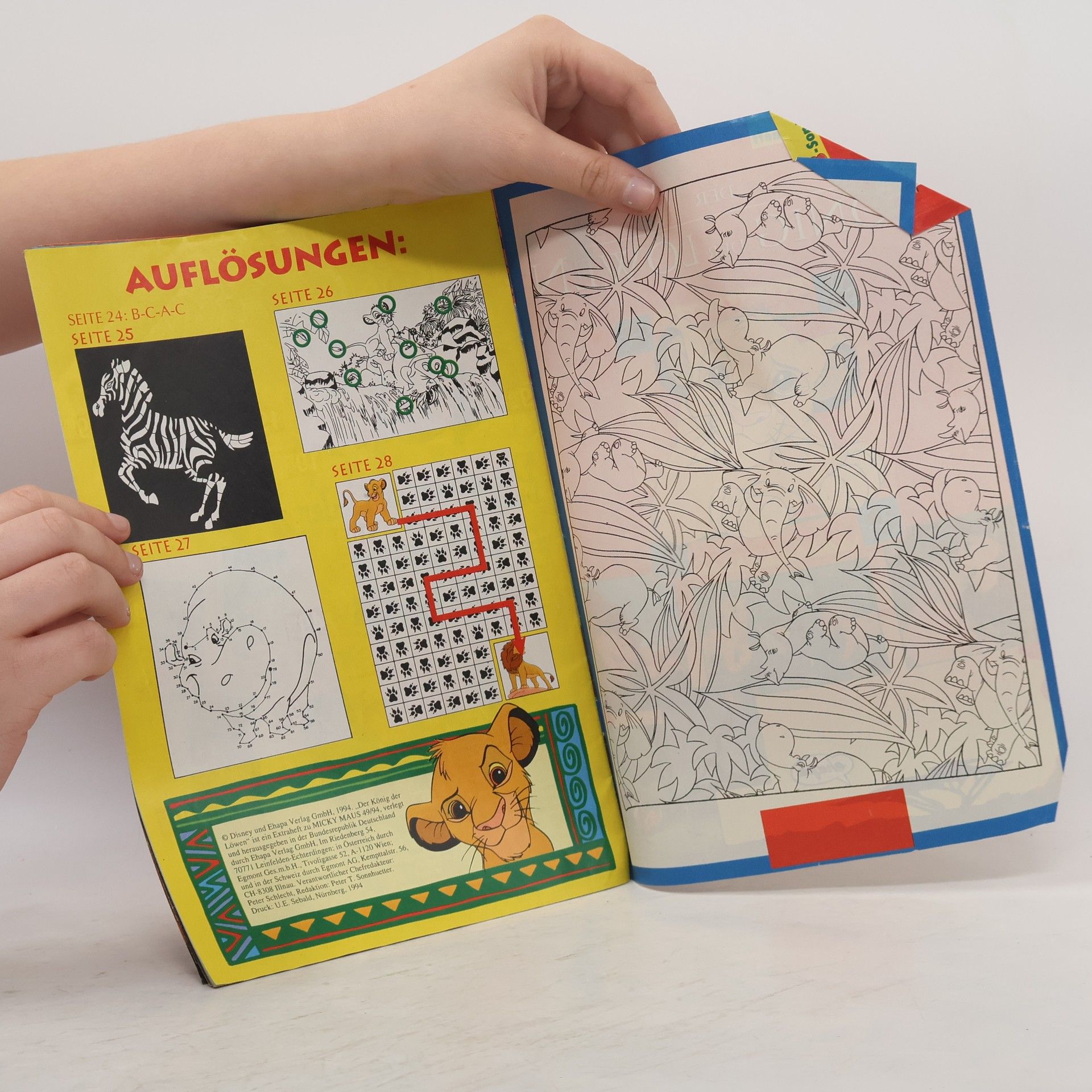 Autorenkollektiv Der König der Löwen
