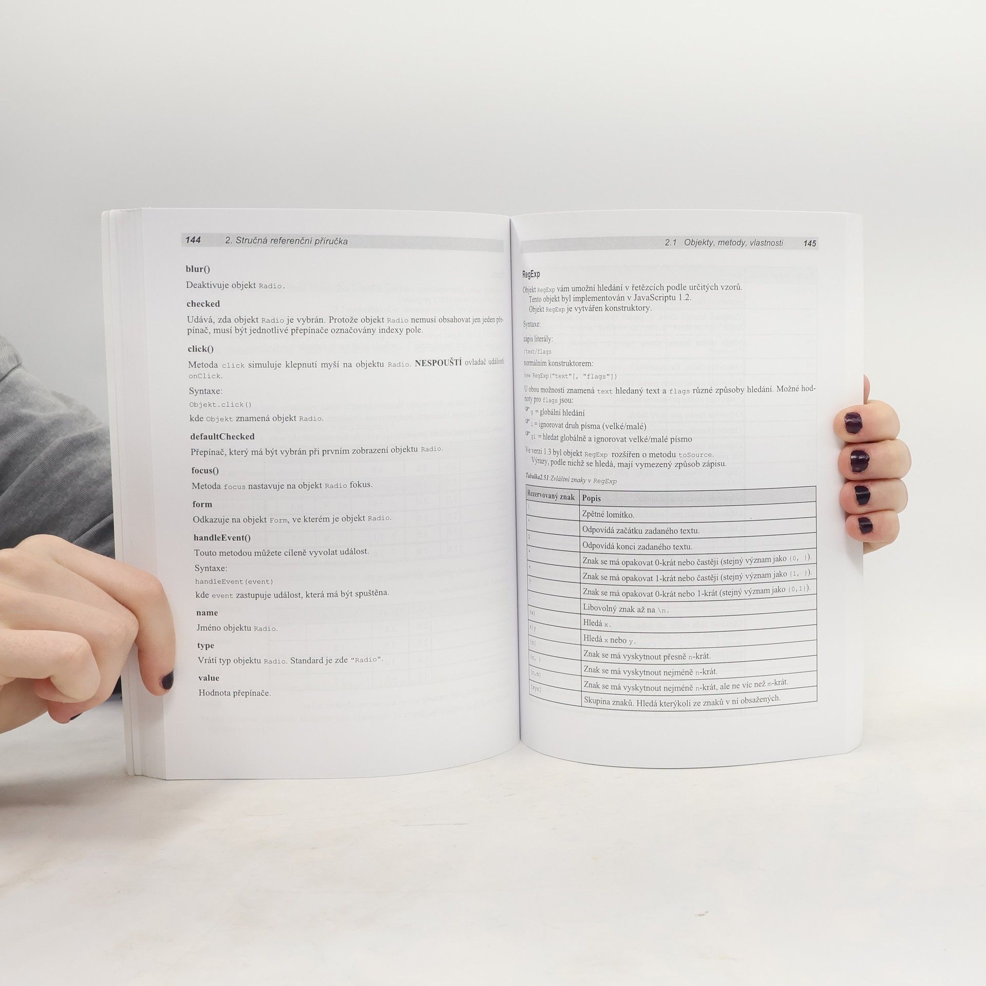 Elmar Dellwig JavaScript : příručka programátora