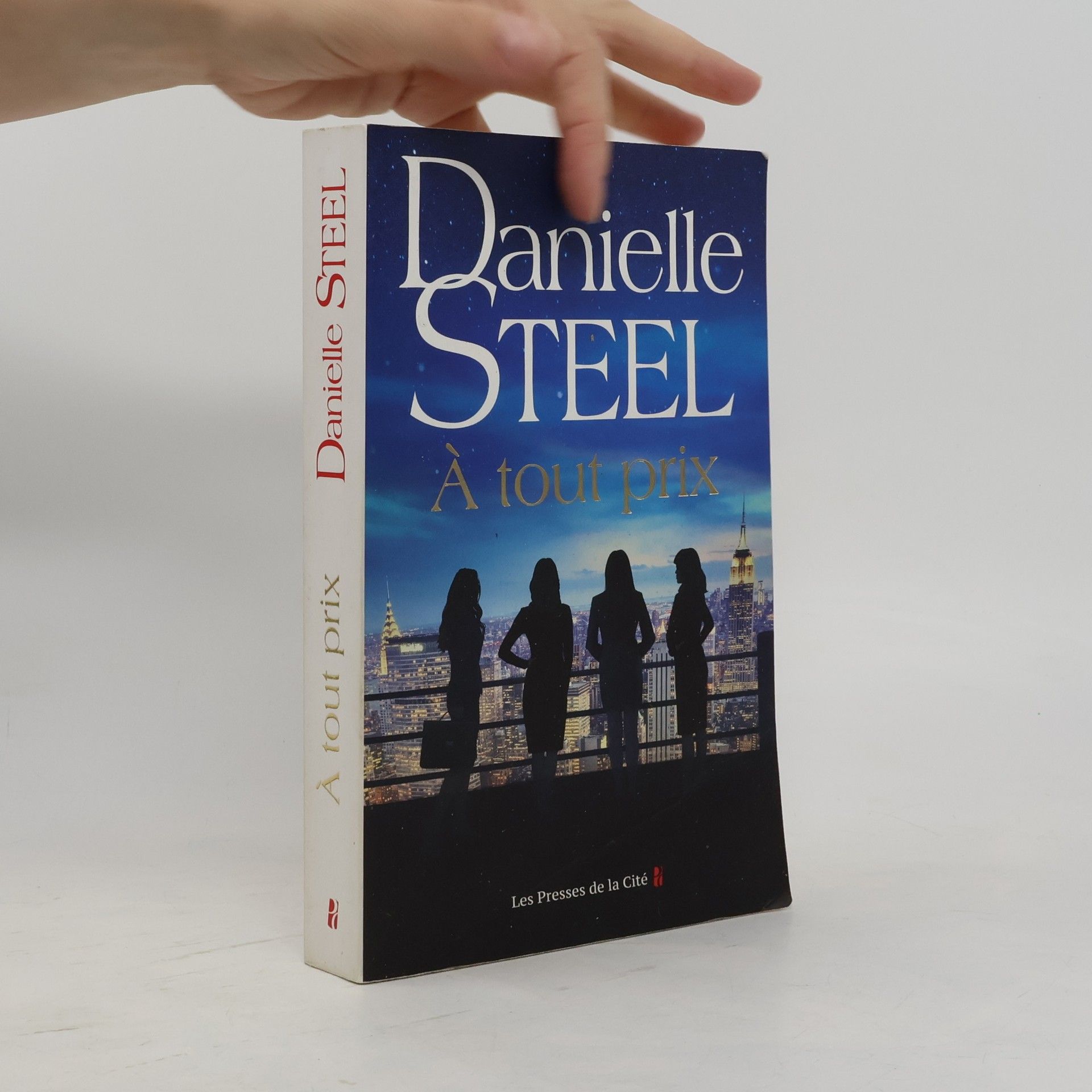 Danielle Steel A tout prix