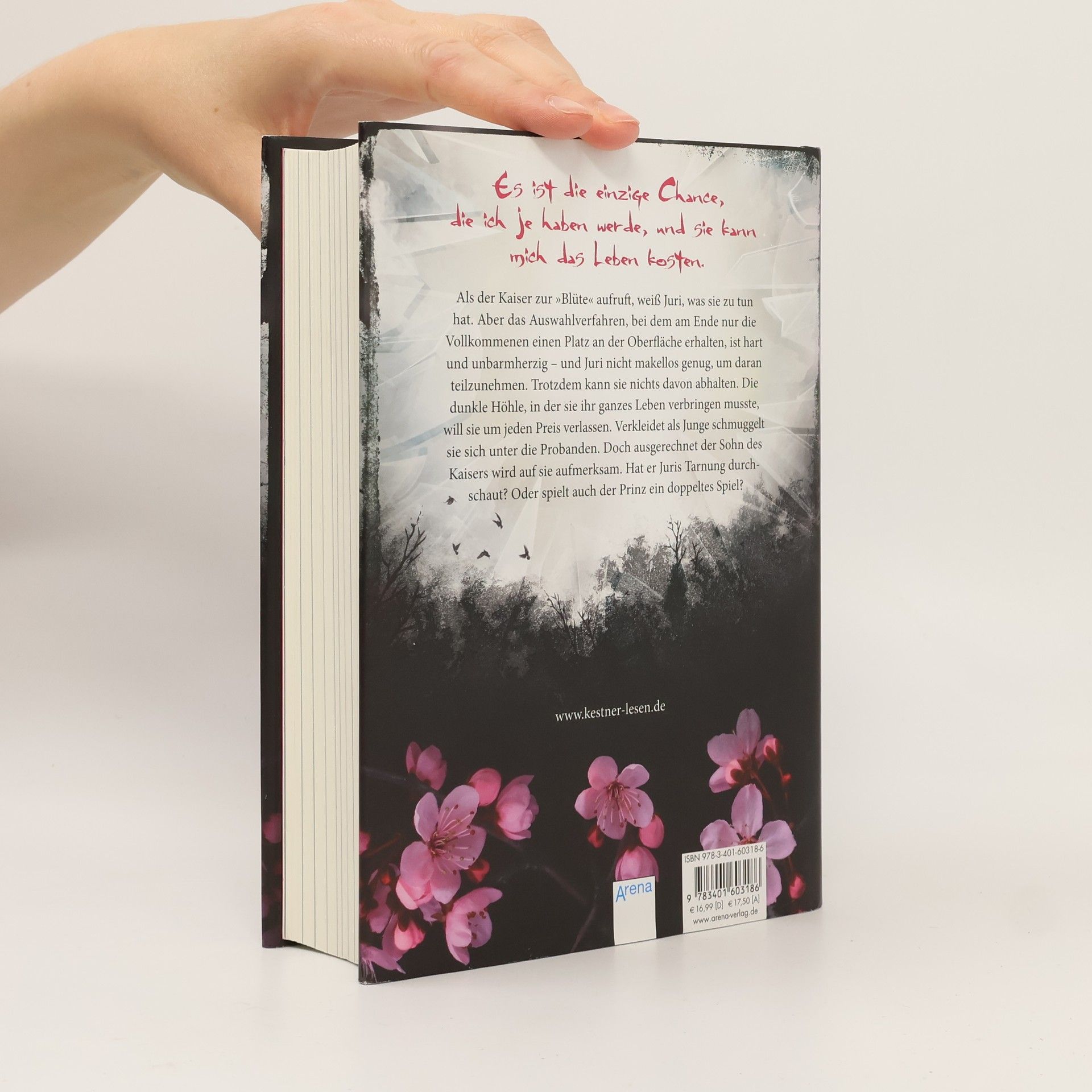 Kim Kestner Sakura