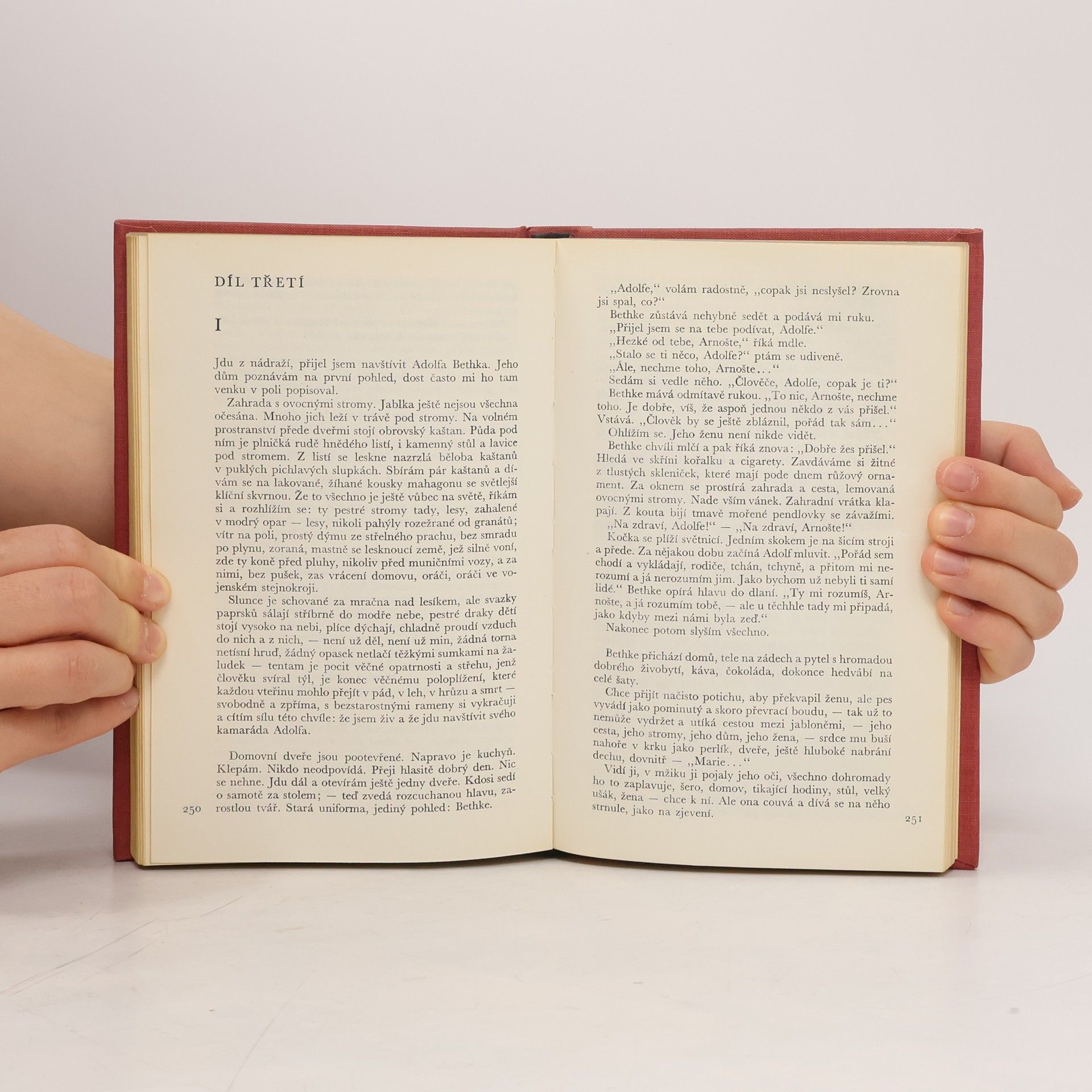 Erich Maria Remarque Na západní frontě klid