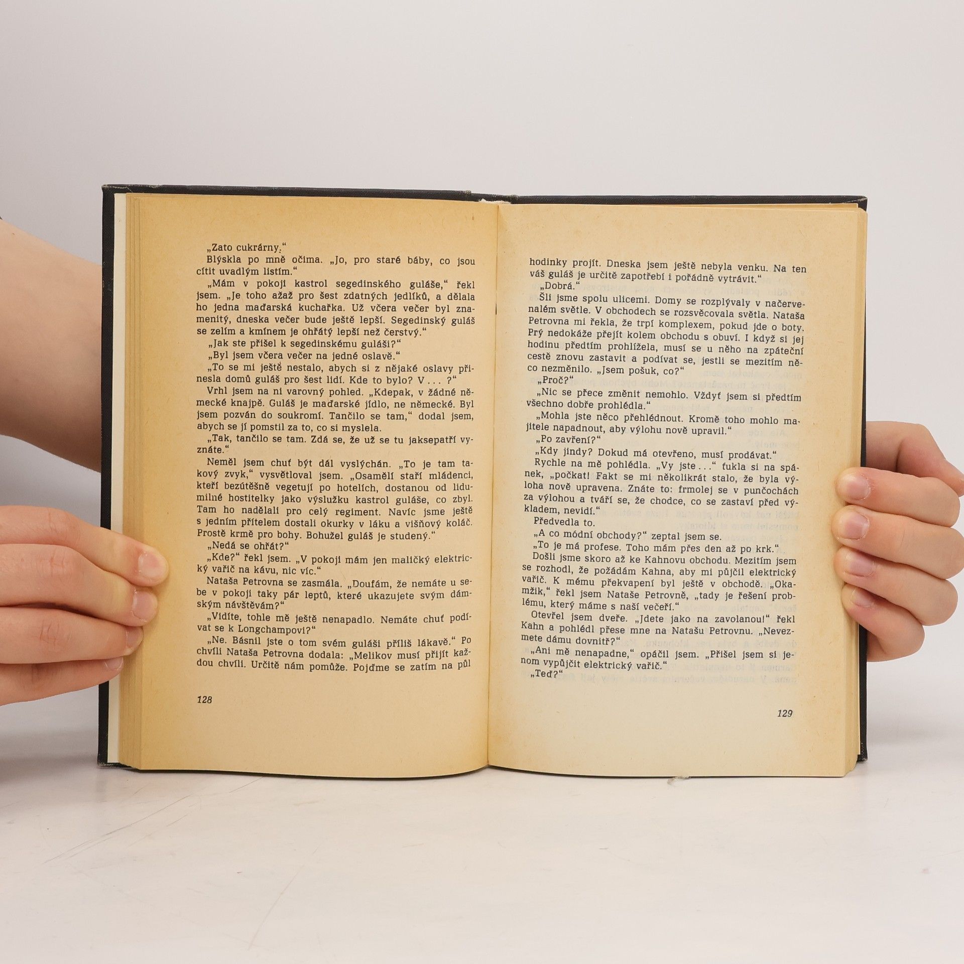 Erich Maria Remarque Stíny v ráji