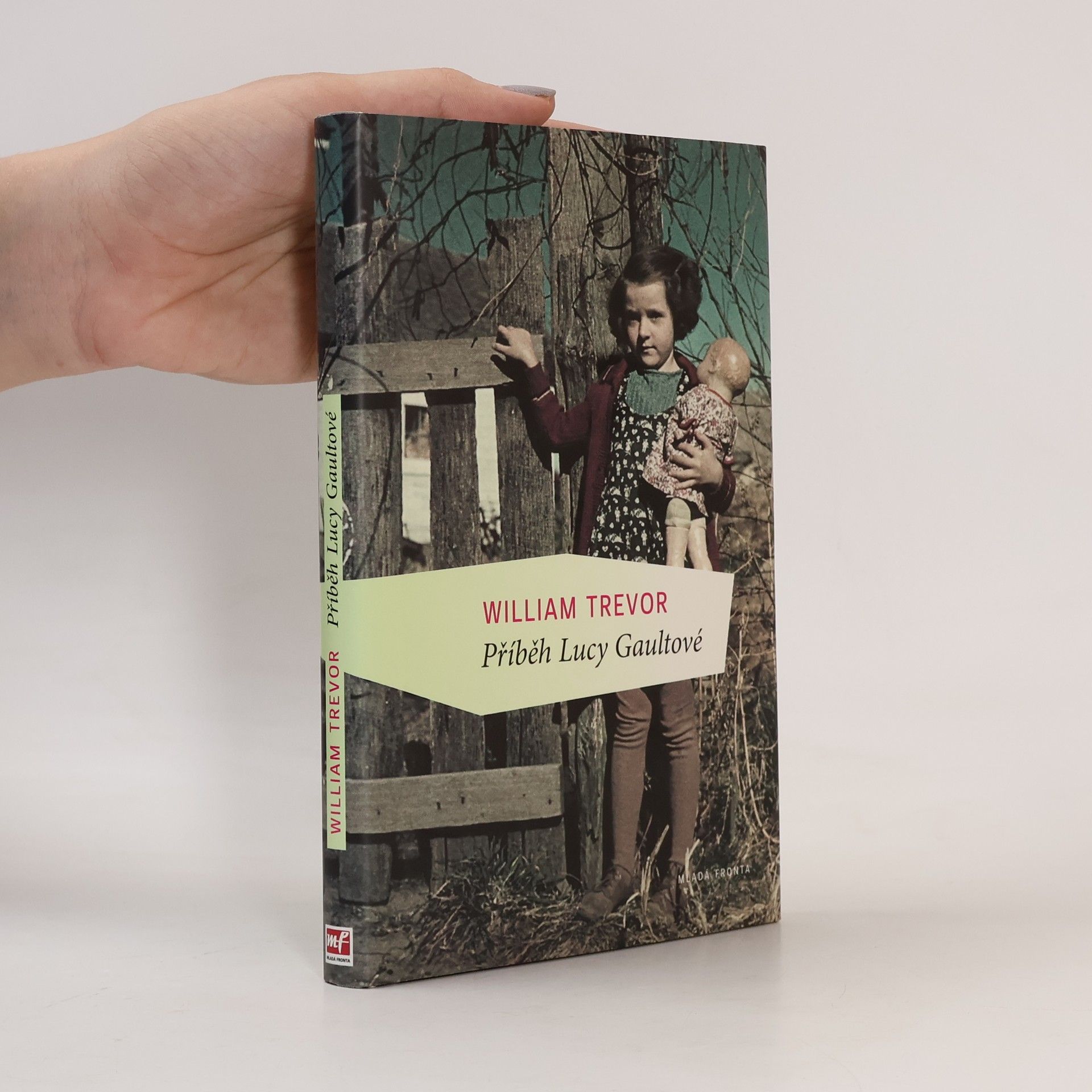 William Trevor Příběh Lucy Gaultové