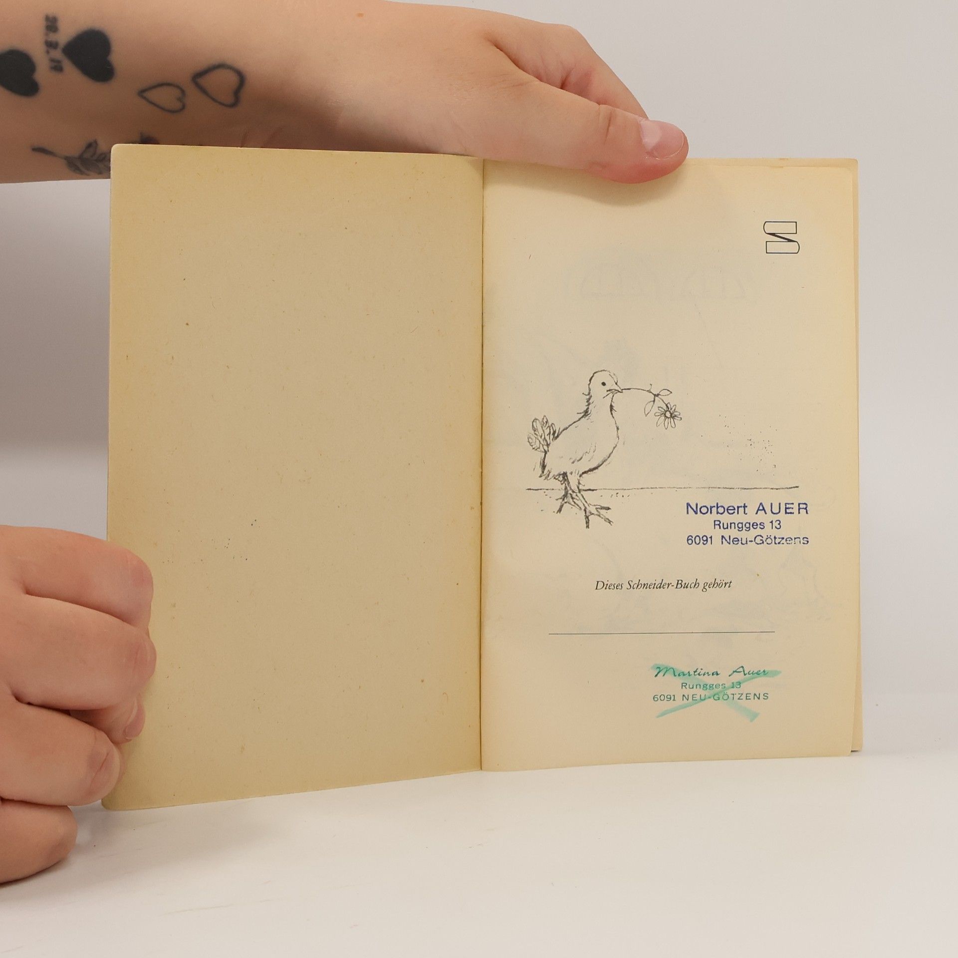 Enid Blyton Die Hoppers stürmen den Erlenhof