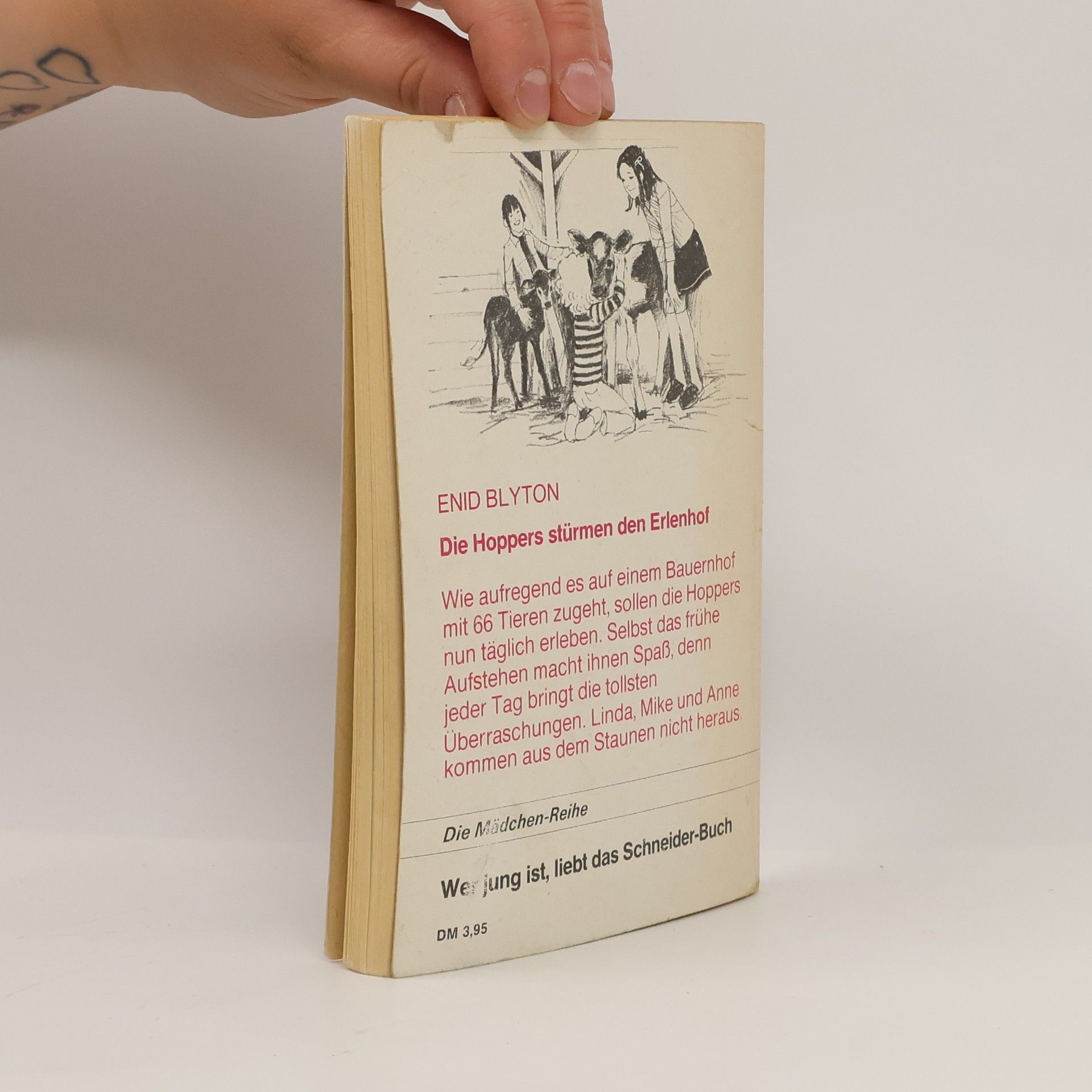 Enid Blyton Die Hoppers stürmen den Erlenhof