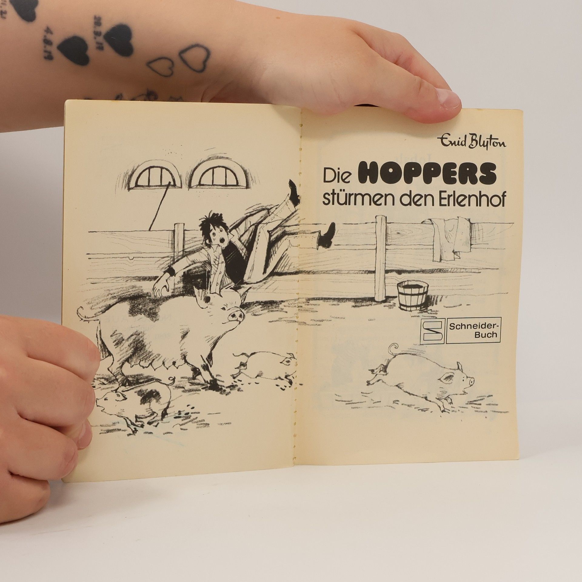 Enid Blyton Die Hoppers stürmen den Erlenhof