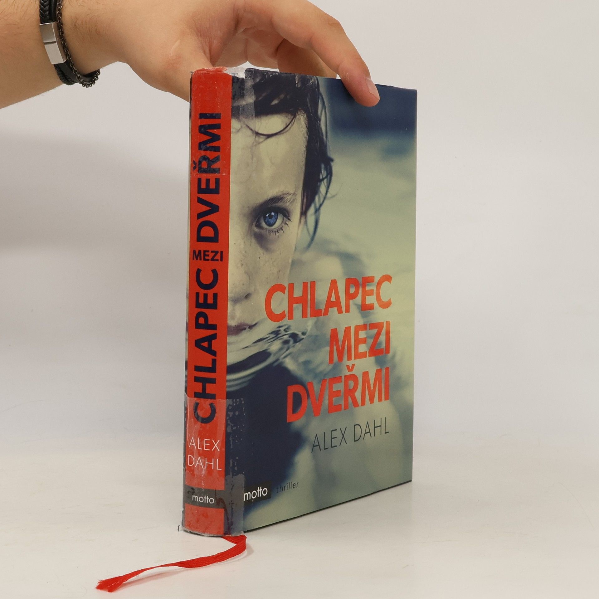 Alex Dahl Chlapec mezi dveřmi
