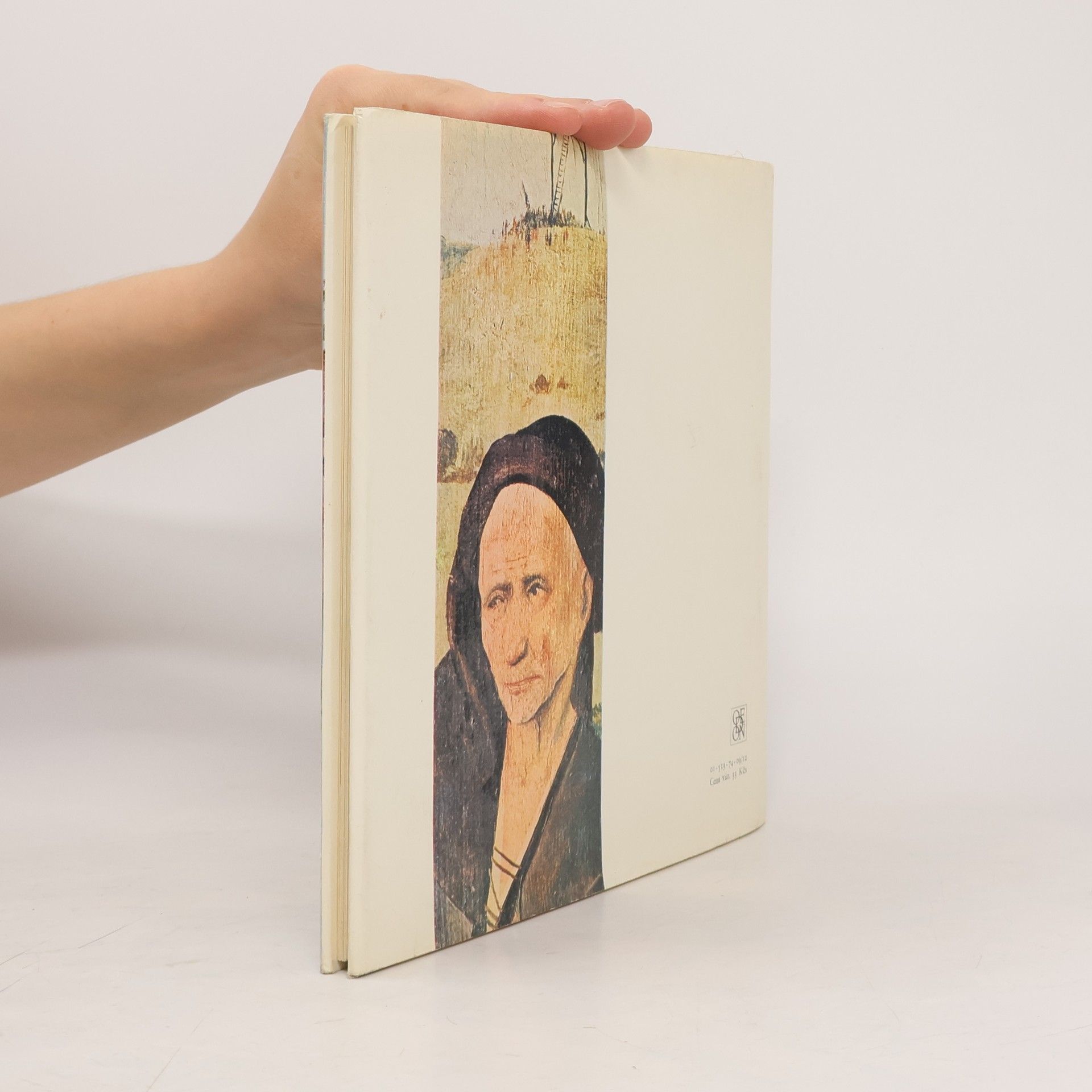 Hana Volavková Hieronymus Bosch