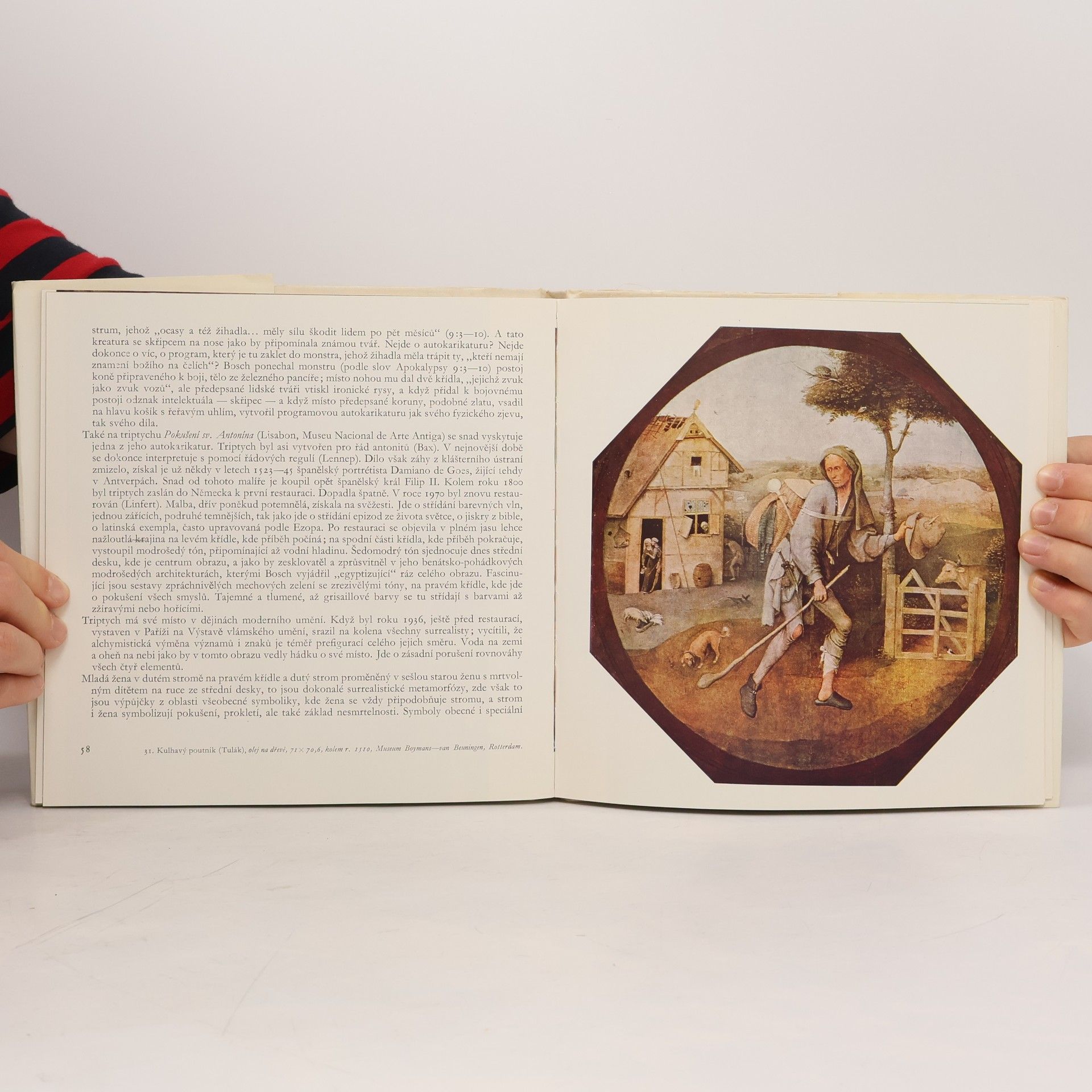 Hana Volavková Hieronymus Bosch
