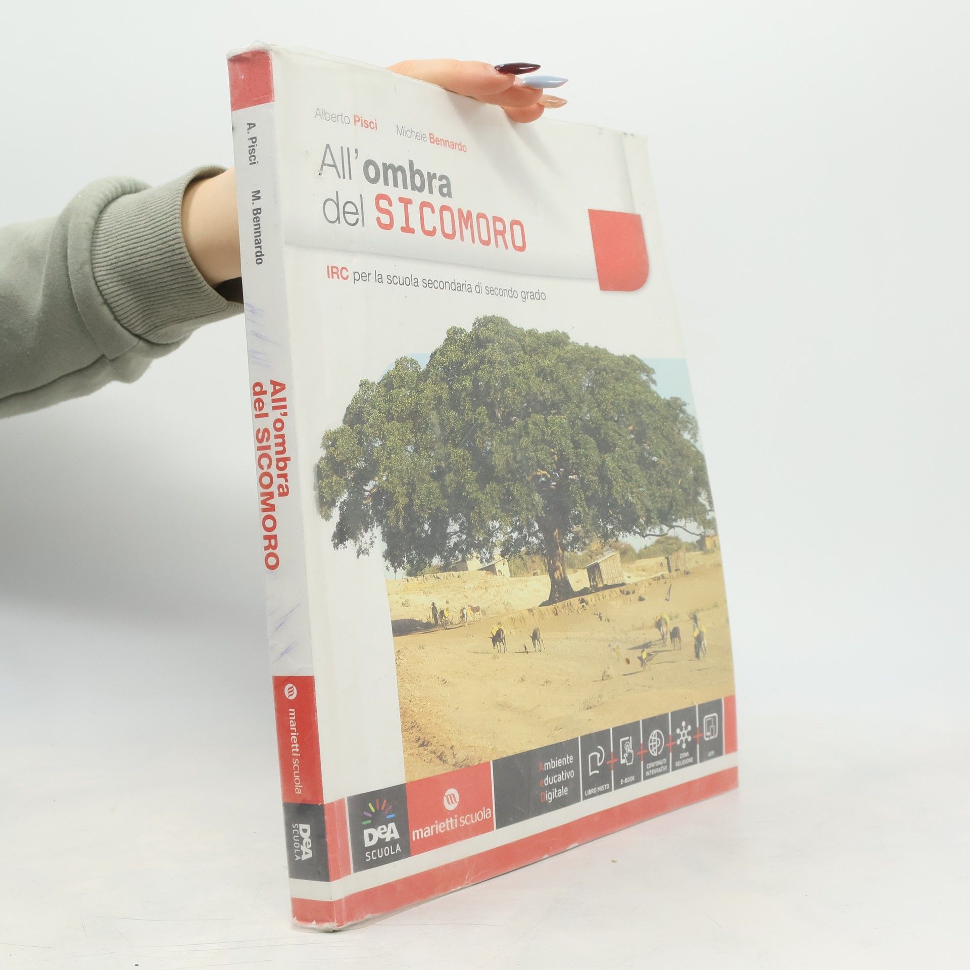 All'ombra del Sicomoro