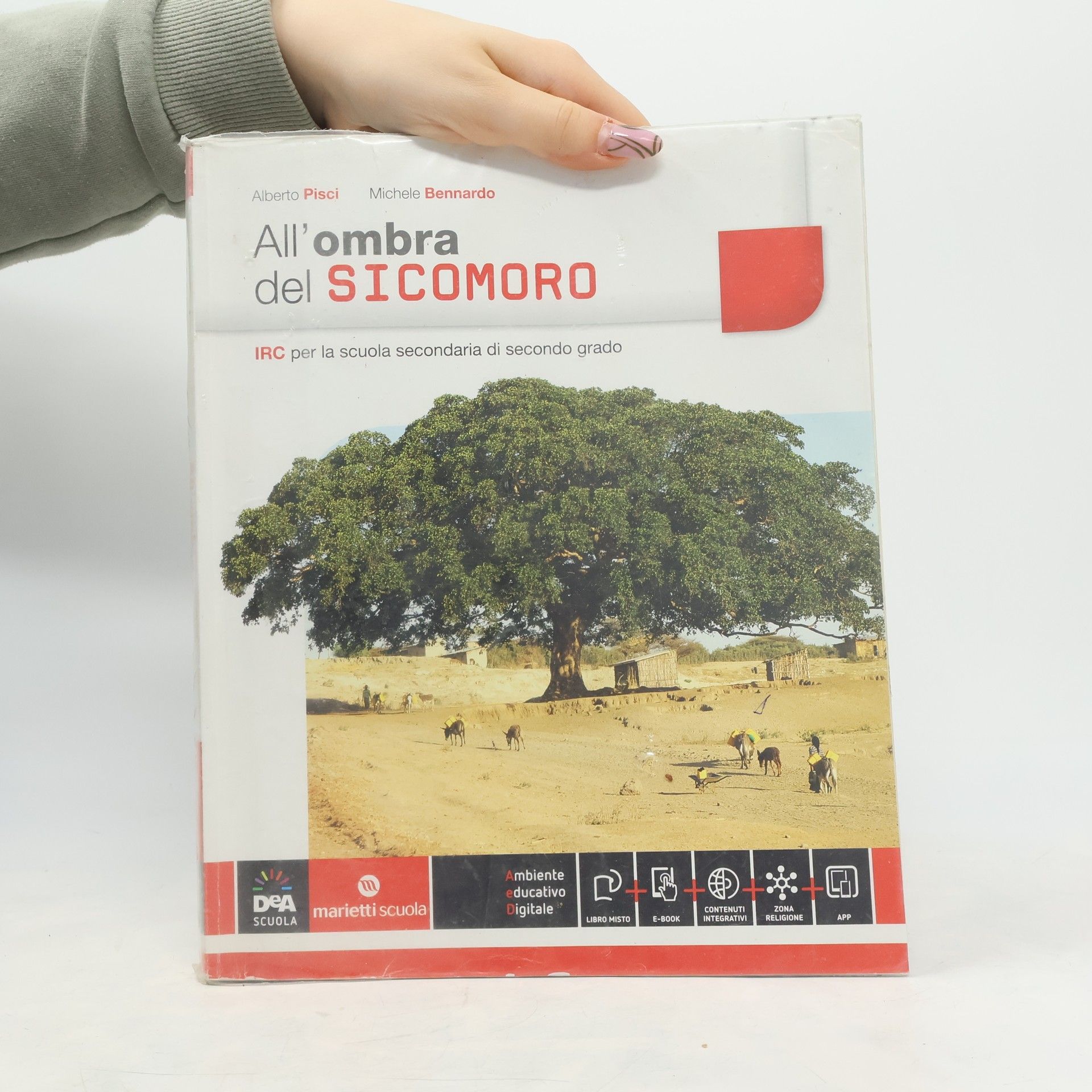 Alberto Pisci All'ombra del Sicomoro