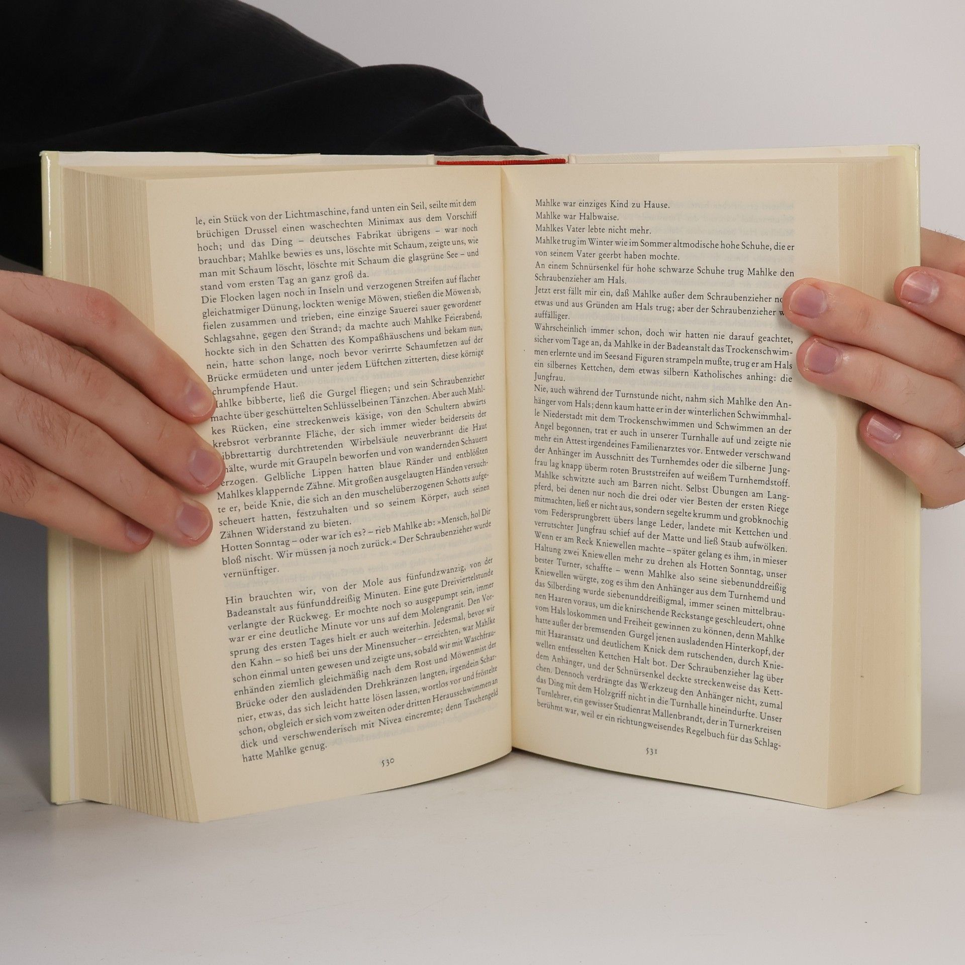 Günter Grass Danziger Trilogie. Die Blechtrommel ; Katz und Maus ; Hundejahre
