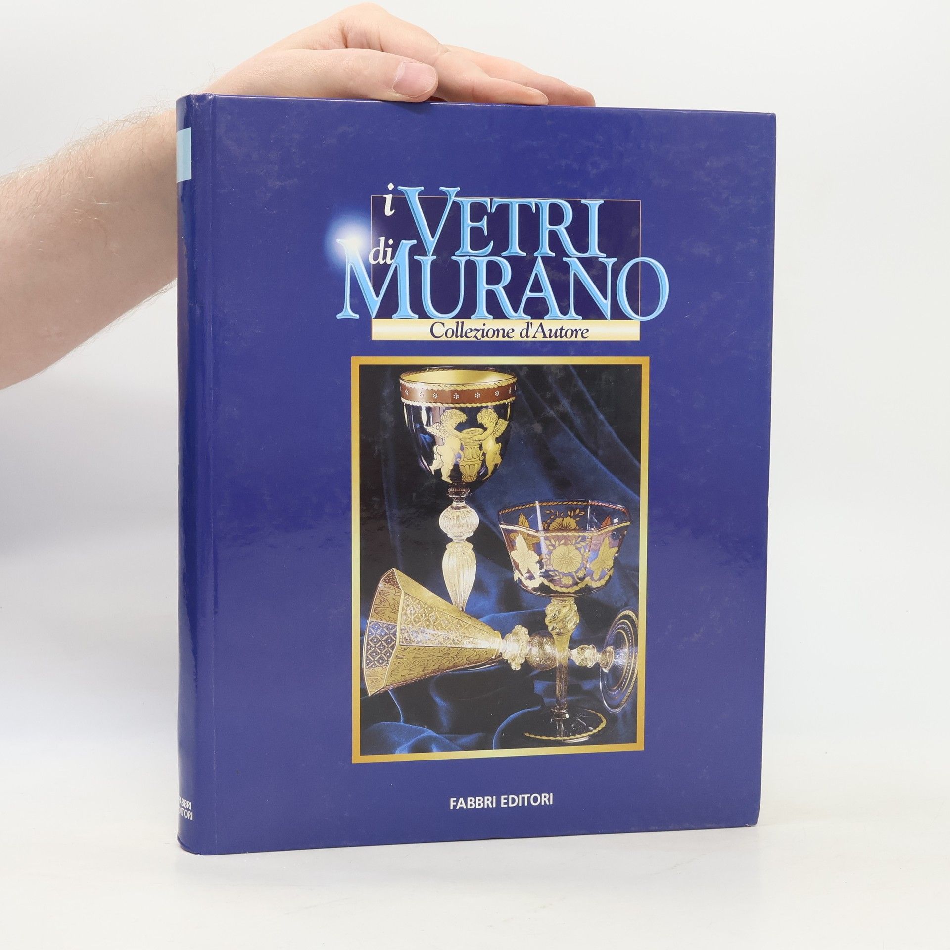 Kolektiv autorů i Vetri di Murano