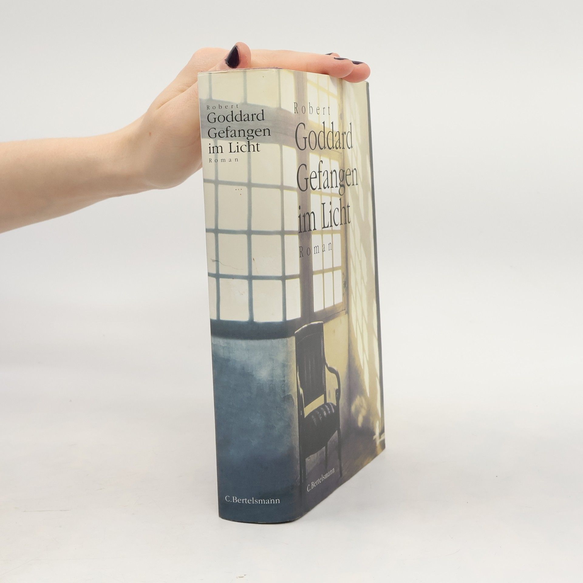 Robert Goddard Gefangen im Licht