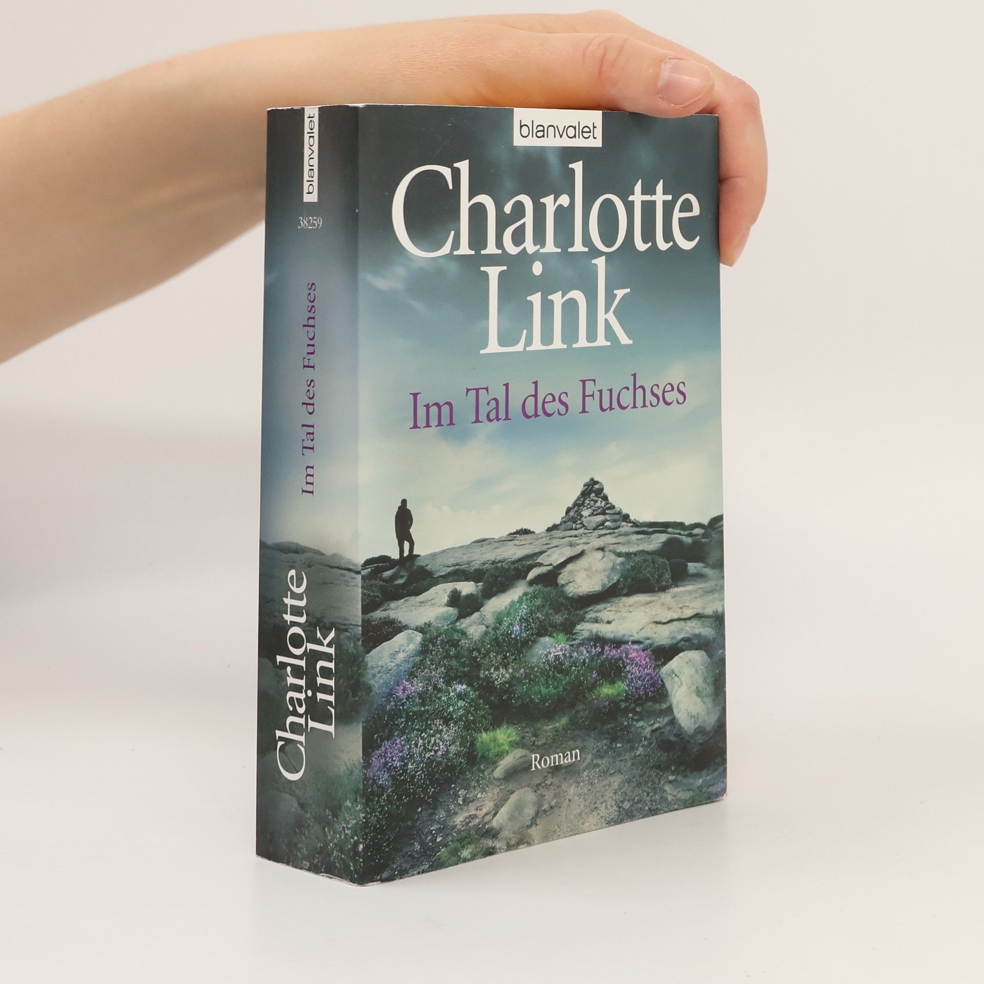 Charlotte Link Im Tal des Fuchses