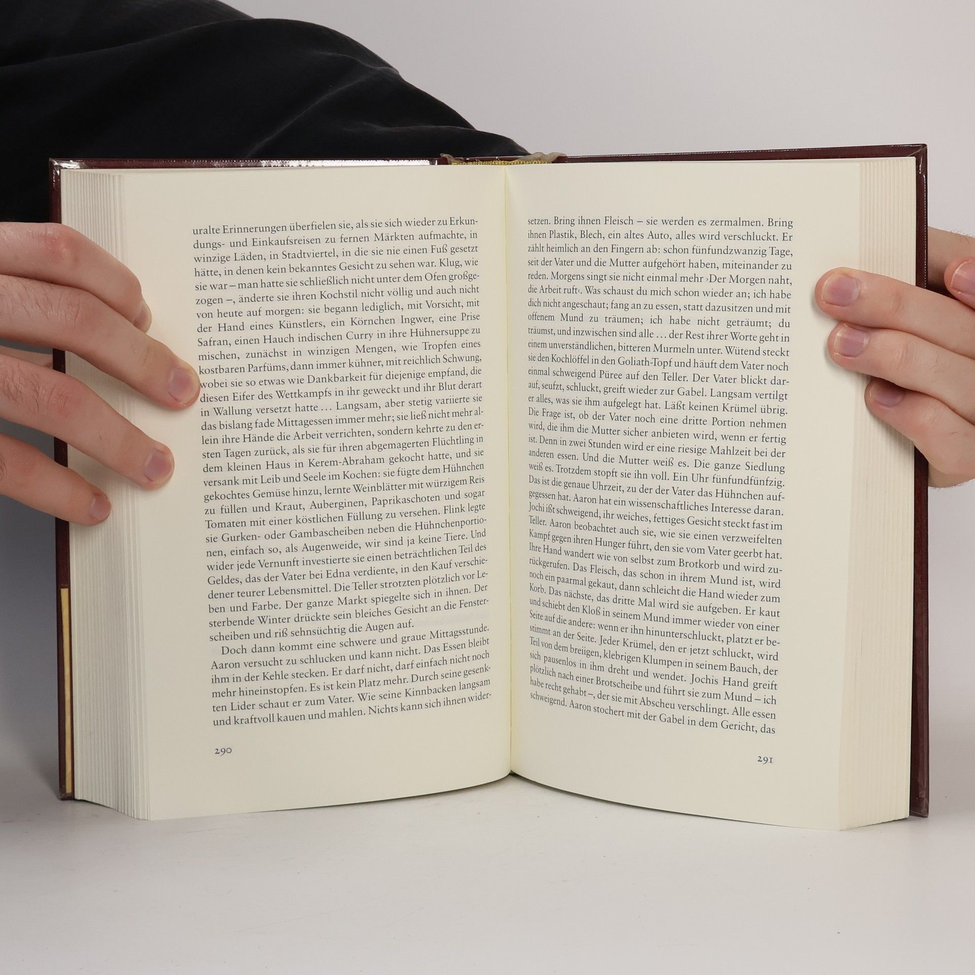 David Grossman Der Kindheitserfinder