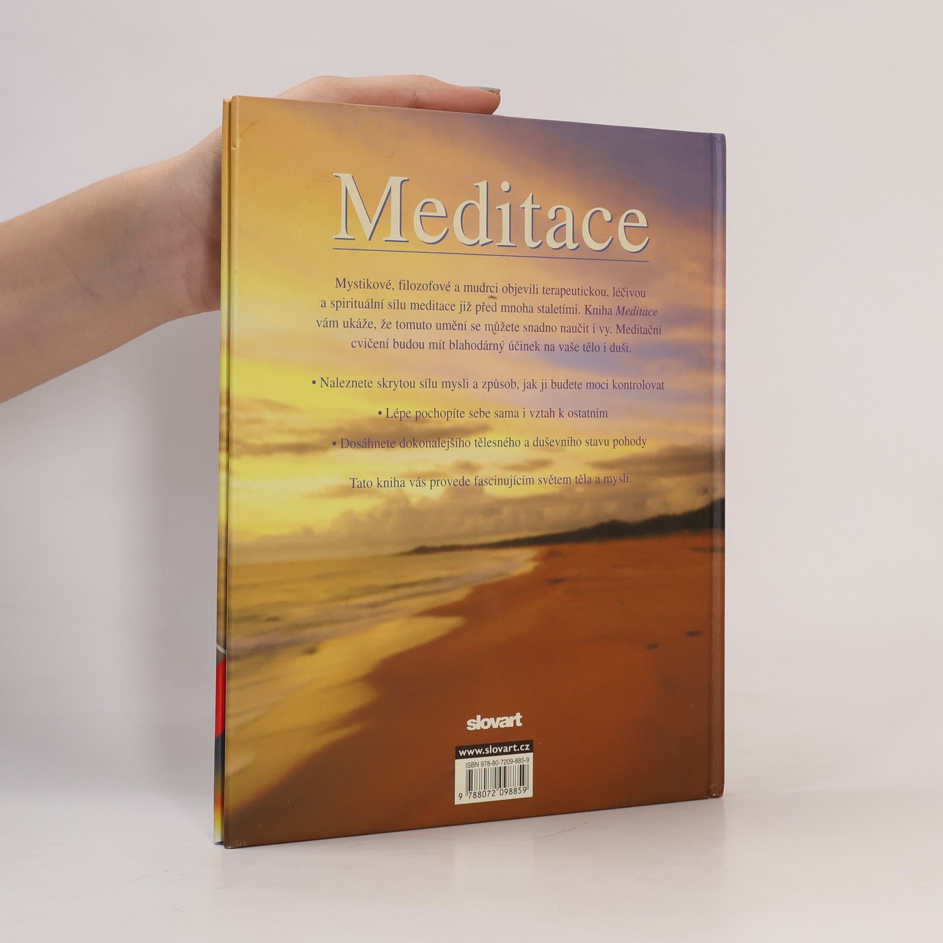 Lorraine Turner Meditace